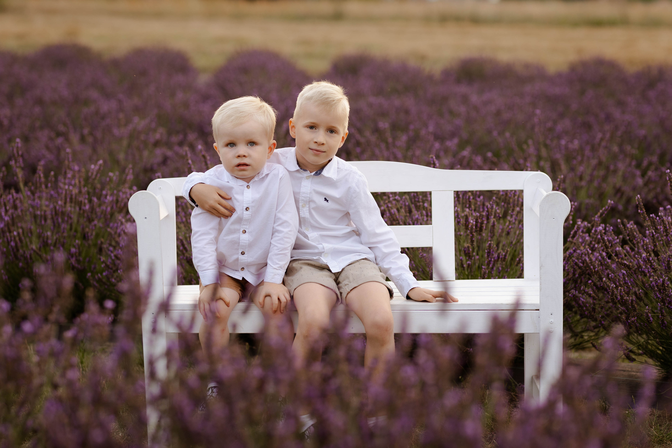 Lawendowa sesja rodzinna. Fotograf Siedlce