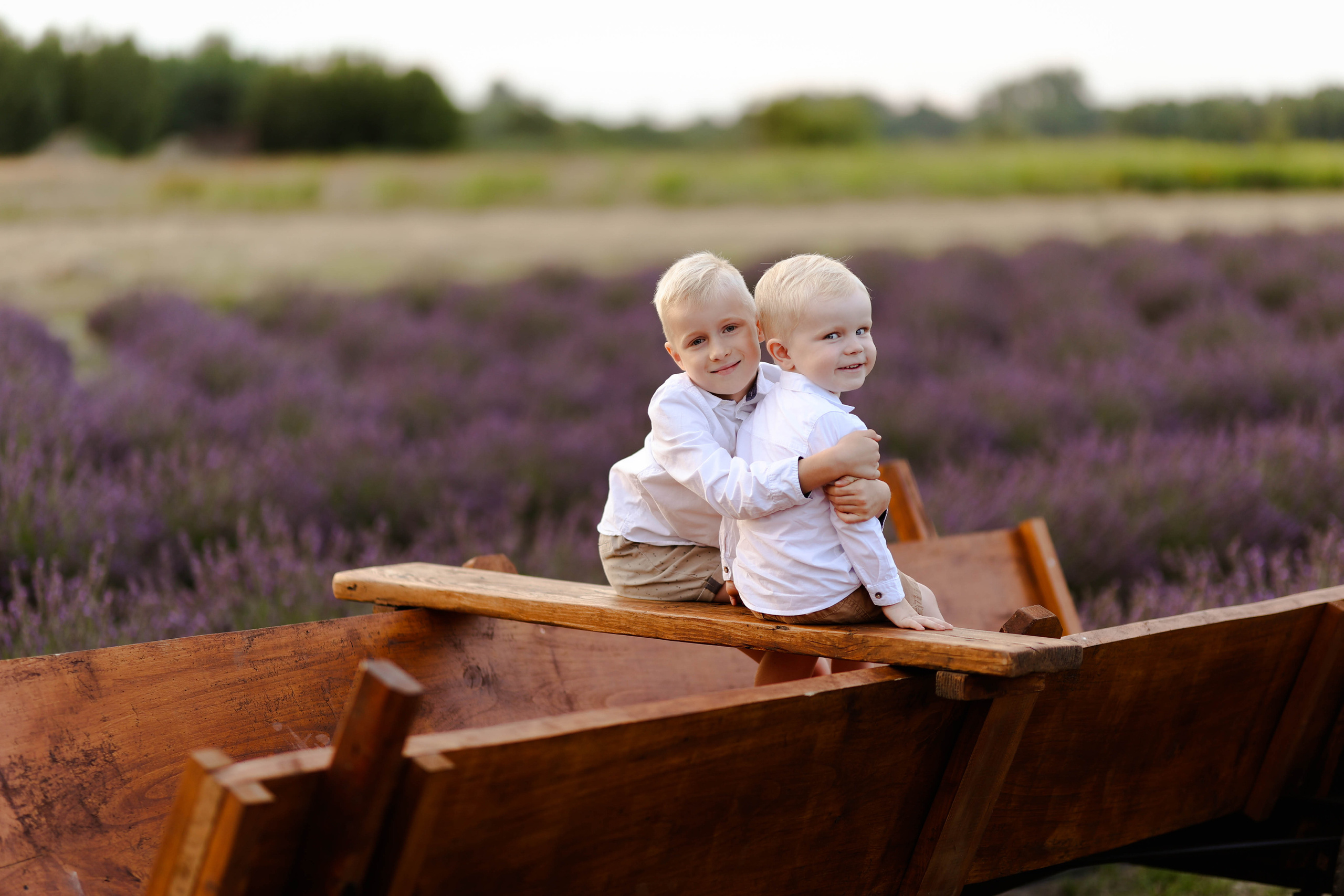 Lawendowa sesja rodzinna. Fotograf Siedlce