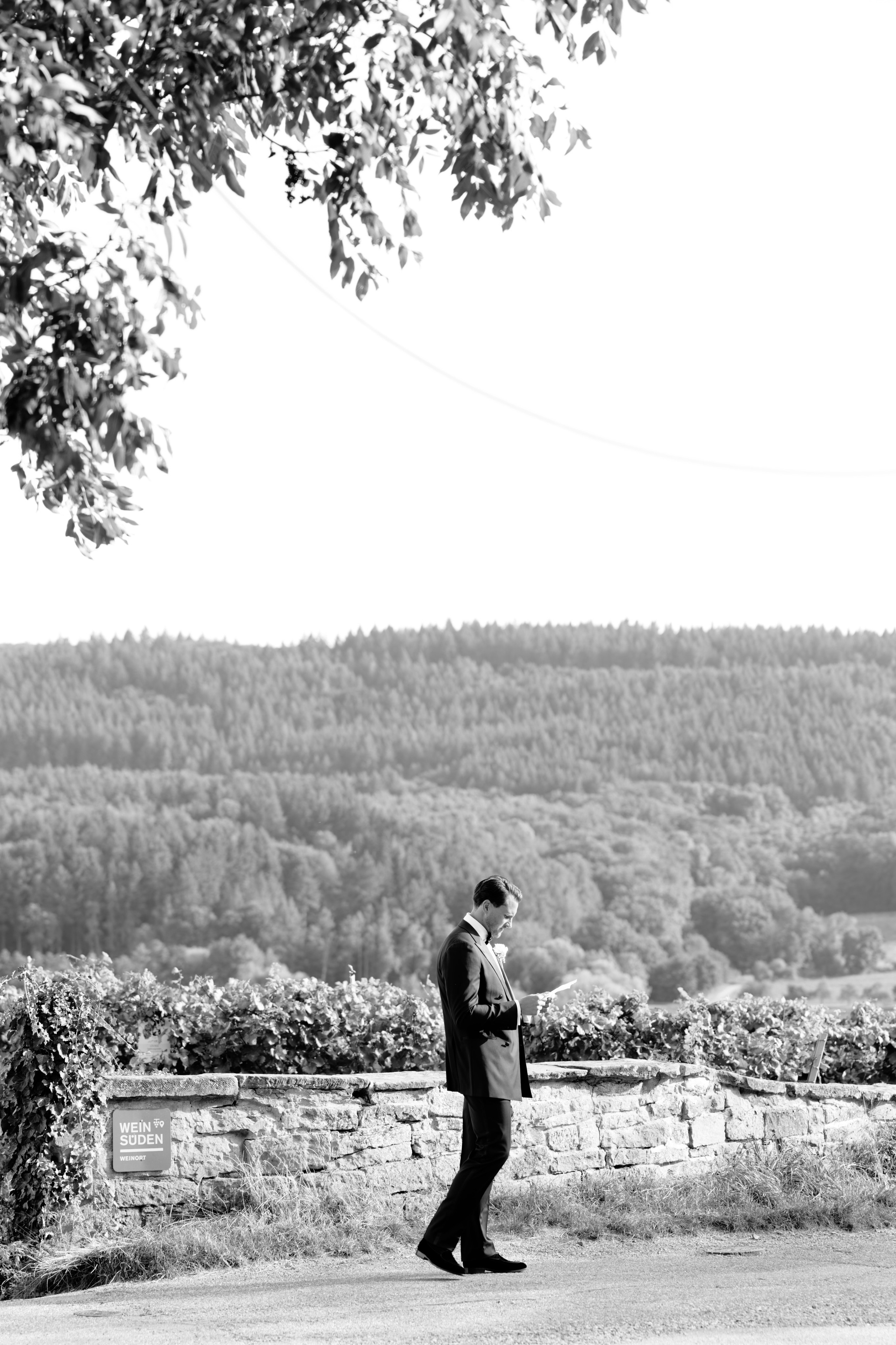 Wedding in Germany Preview
