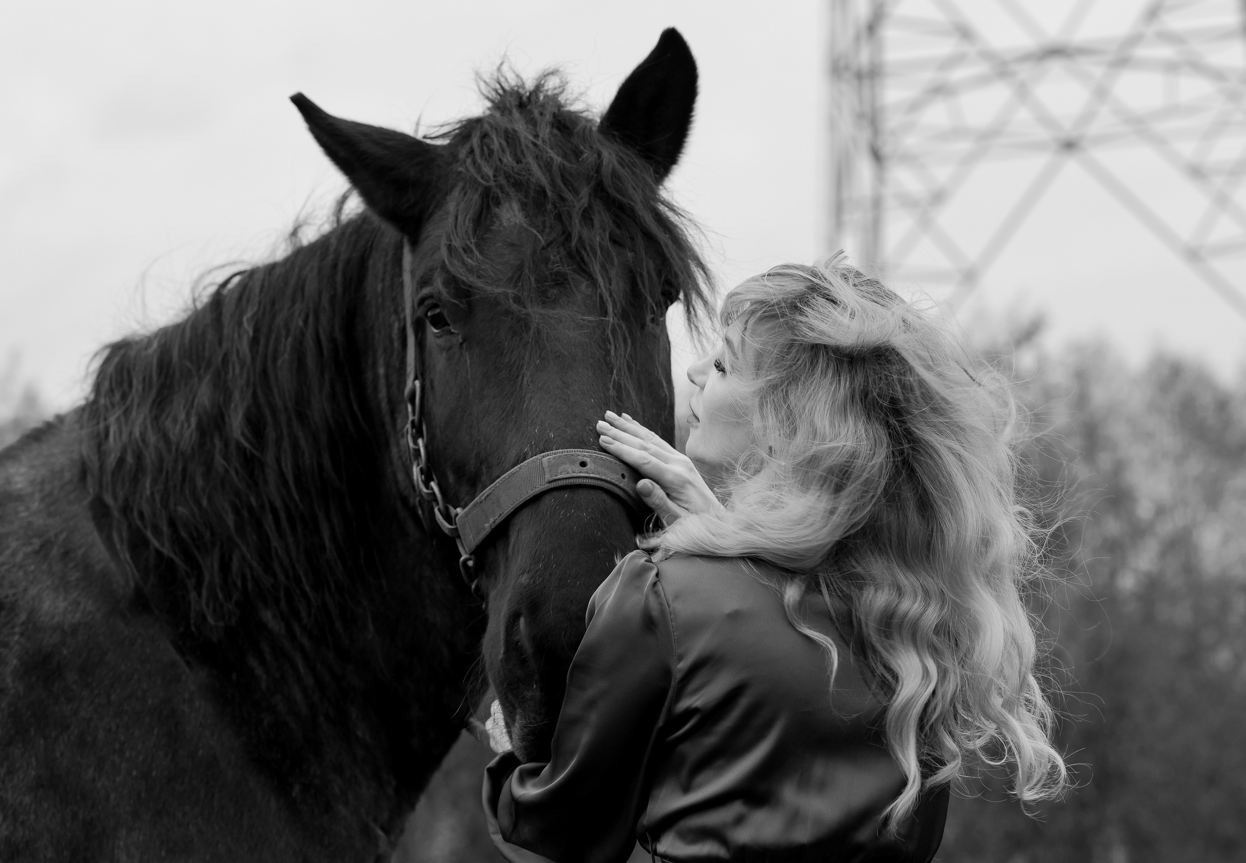 Photoshoot with Horses. Professional Photograher, Antwerpen/Belgium