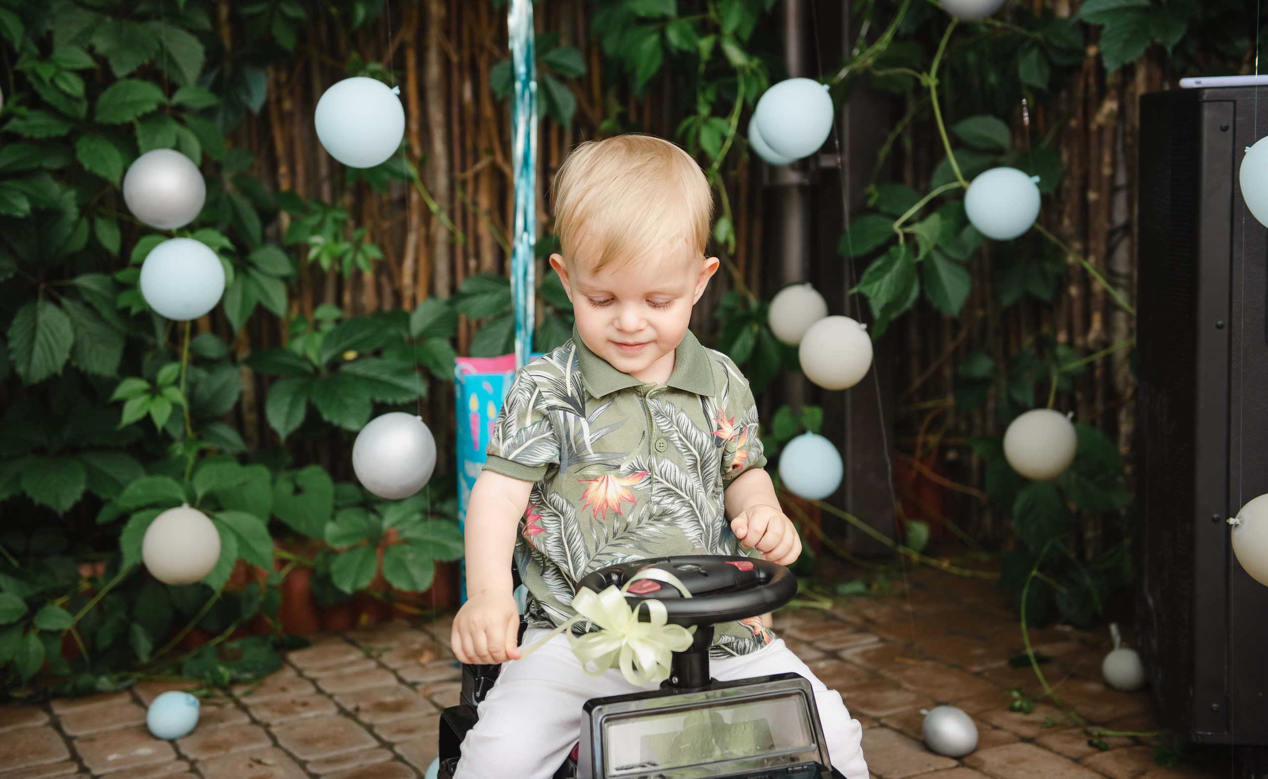 DAVID. Fotograf de familie Vitalie Budoianu