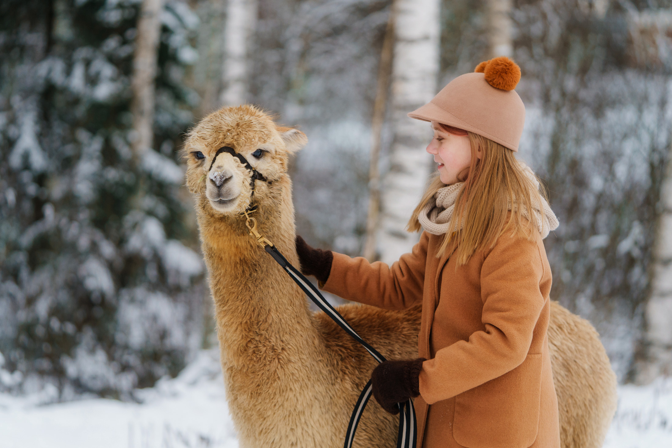 Lapsikuvaus alpakkatilalla