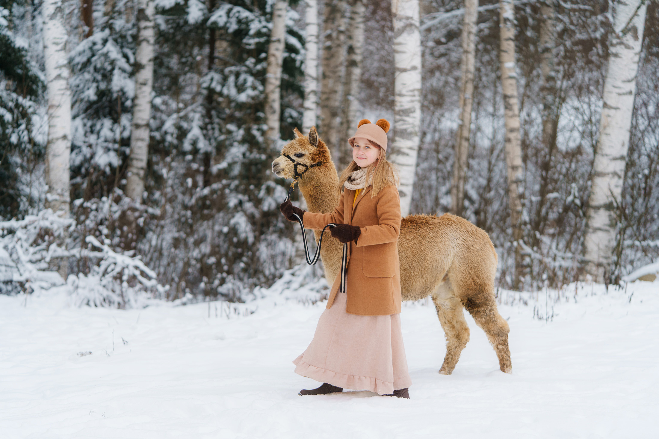 Lapsikuvaus alpakkatilalla