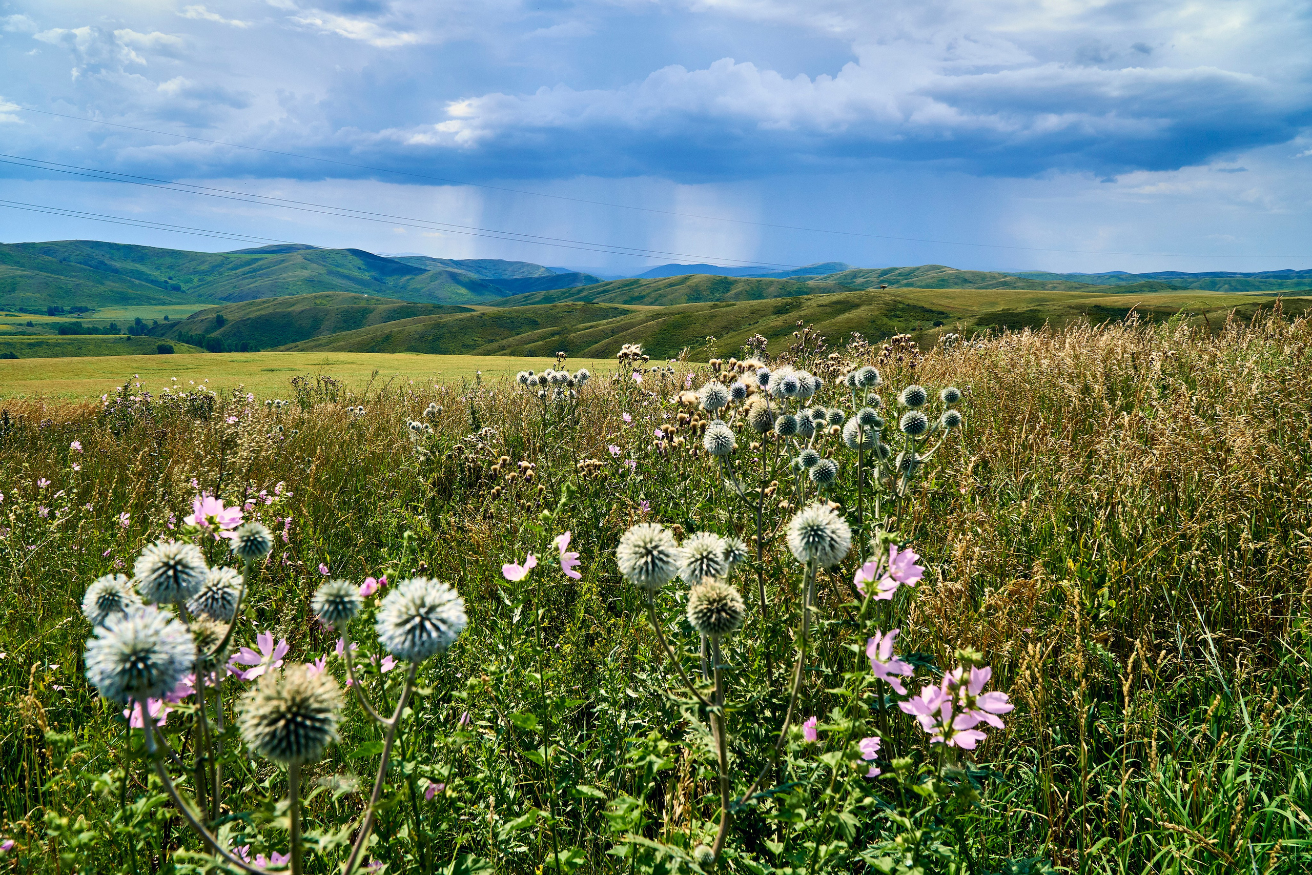 Бухтарма. Андрей Шипилов — Фотография & Видеография