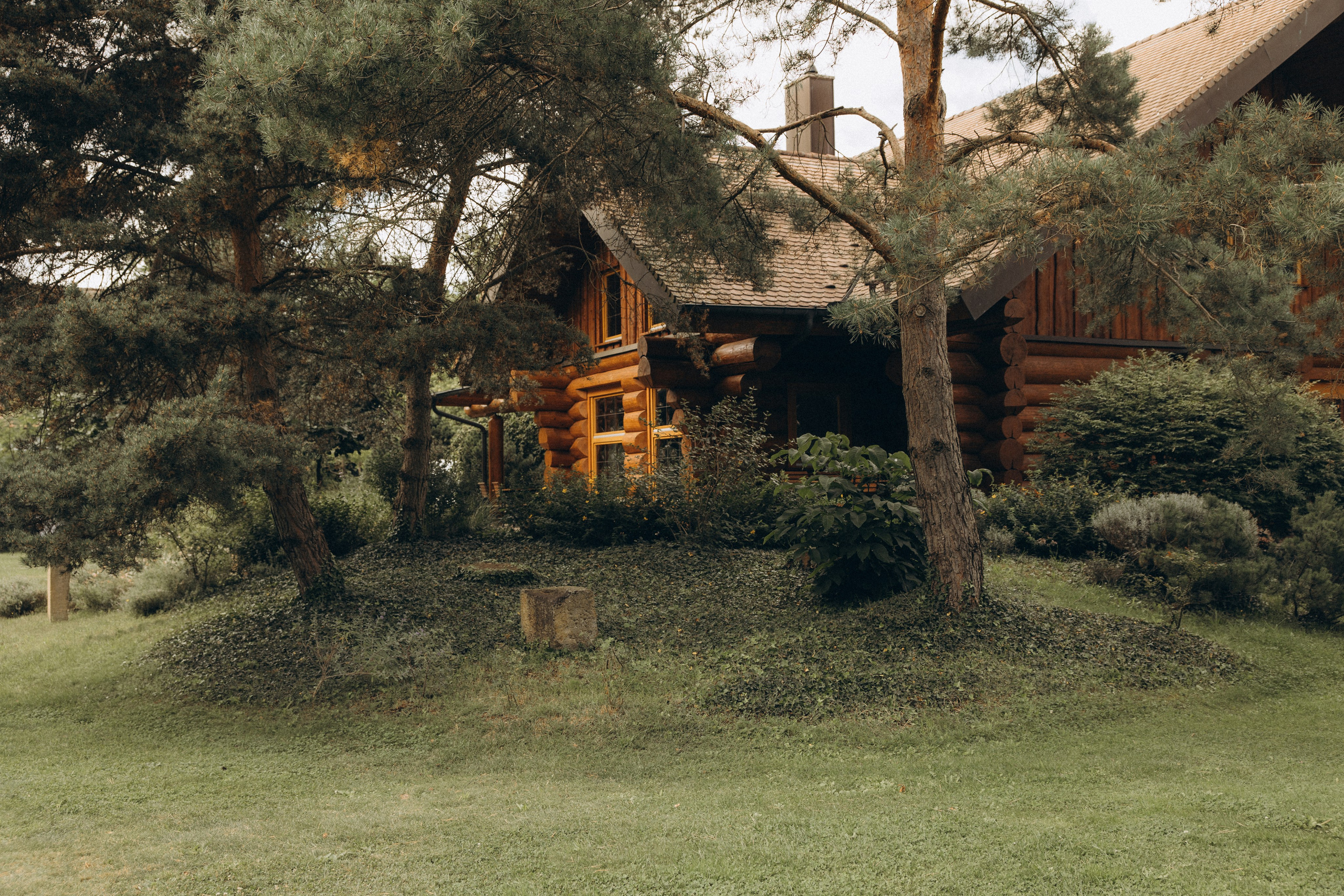 Ari & Nico. Hochzeits- und Porträtfotografin in Deutschland