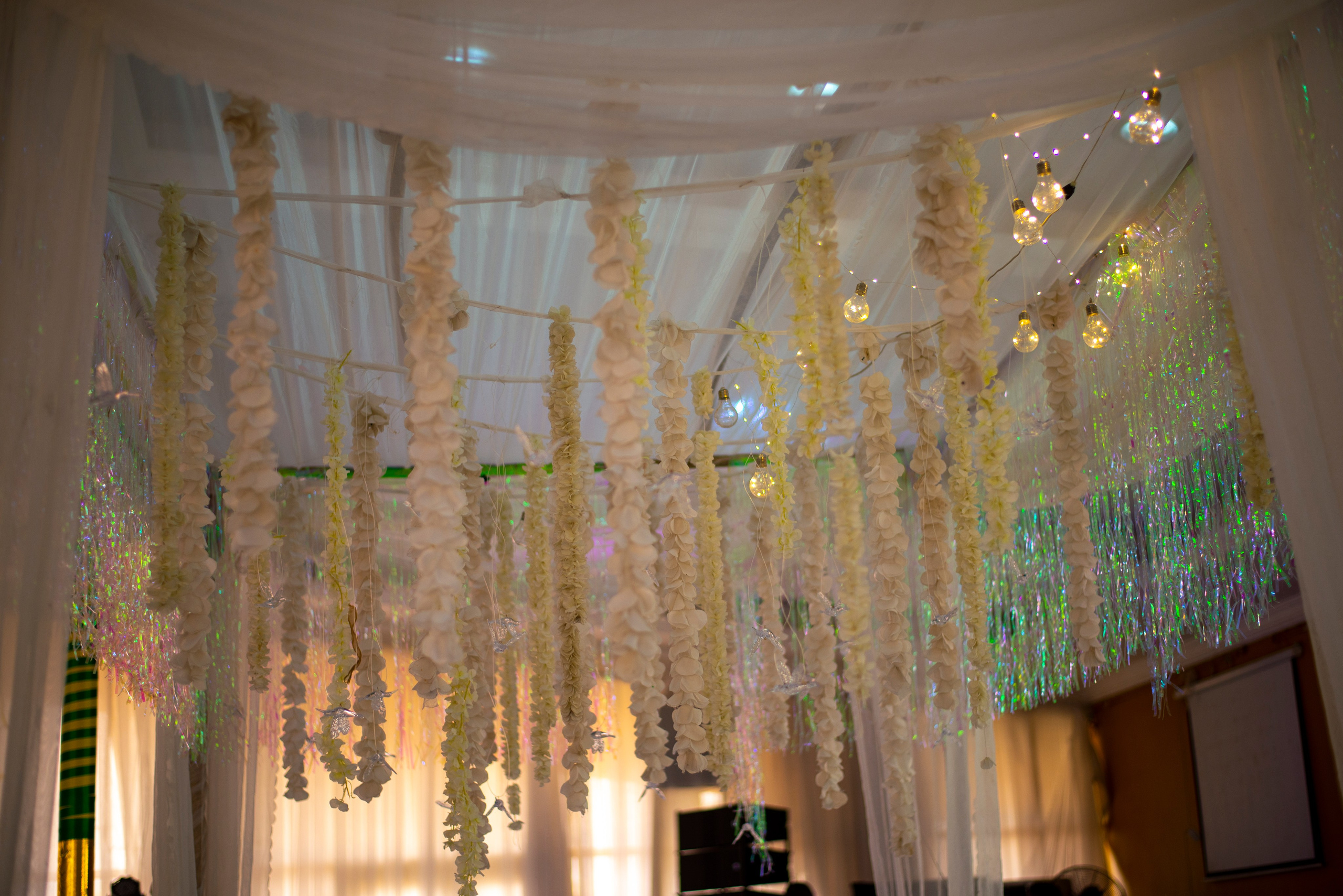 CeeBee01 Events. Portrait & Brand Photographer in Bradford, West Yorkshire