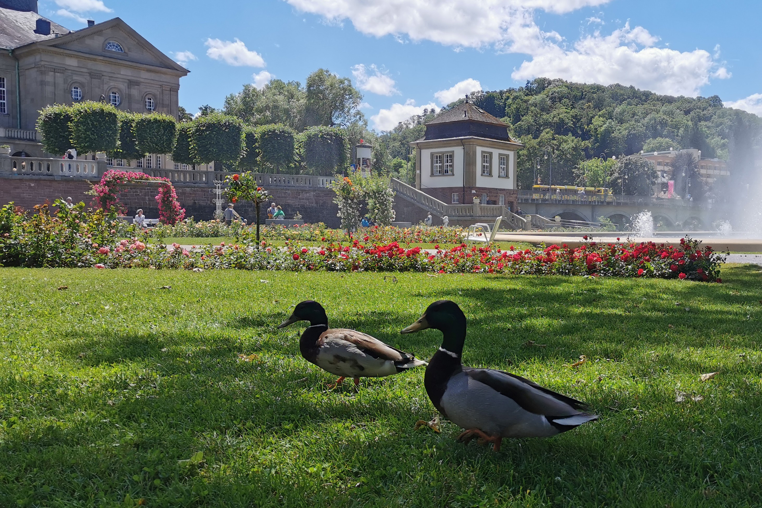 Бад Киссинген. Elina Reisen. Туристическое агентство в Аугсбурге