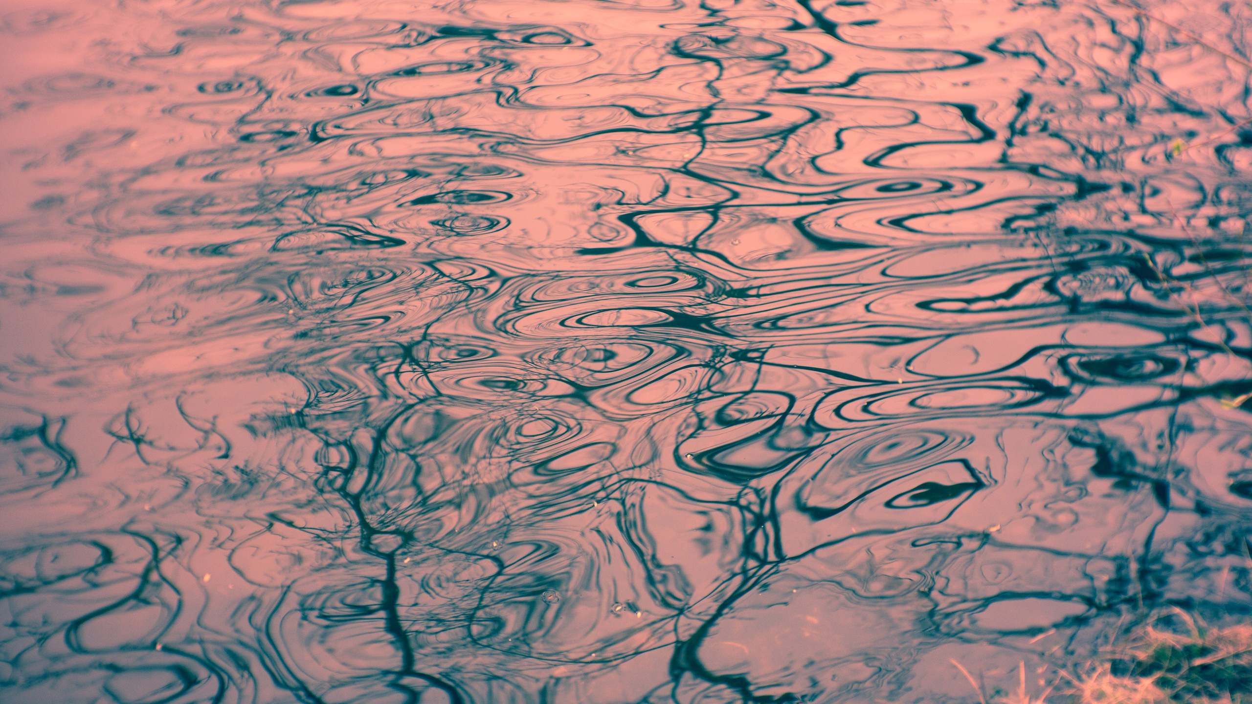 Experimental photos. Éclat Photos. Exclusive portrait photography service