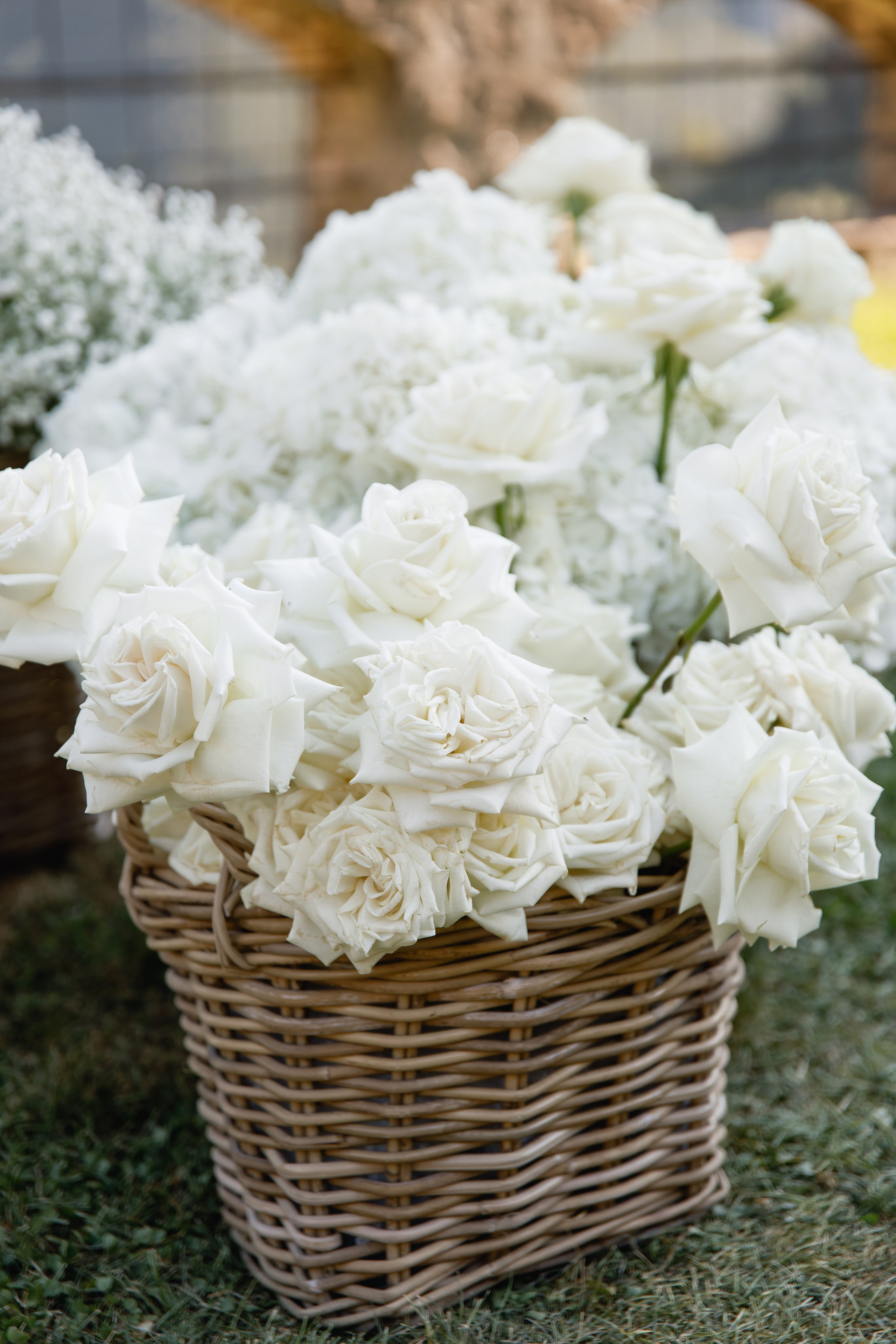 Wedding photographer Italy Rome, Tuscany, Lake Como, Sicily, Puglia. Wedding Photographer Rome Tuscany Como Sicily Puglia Amalfy Italy- Oksana Savenchuk