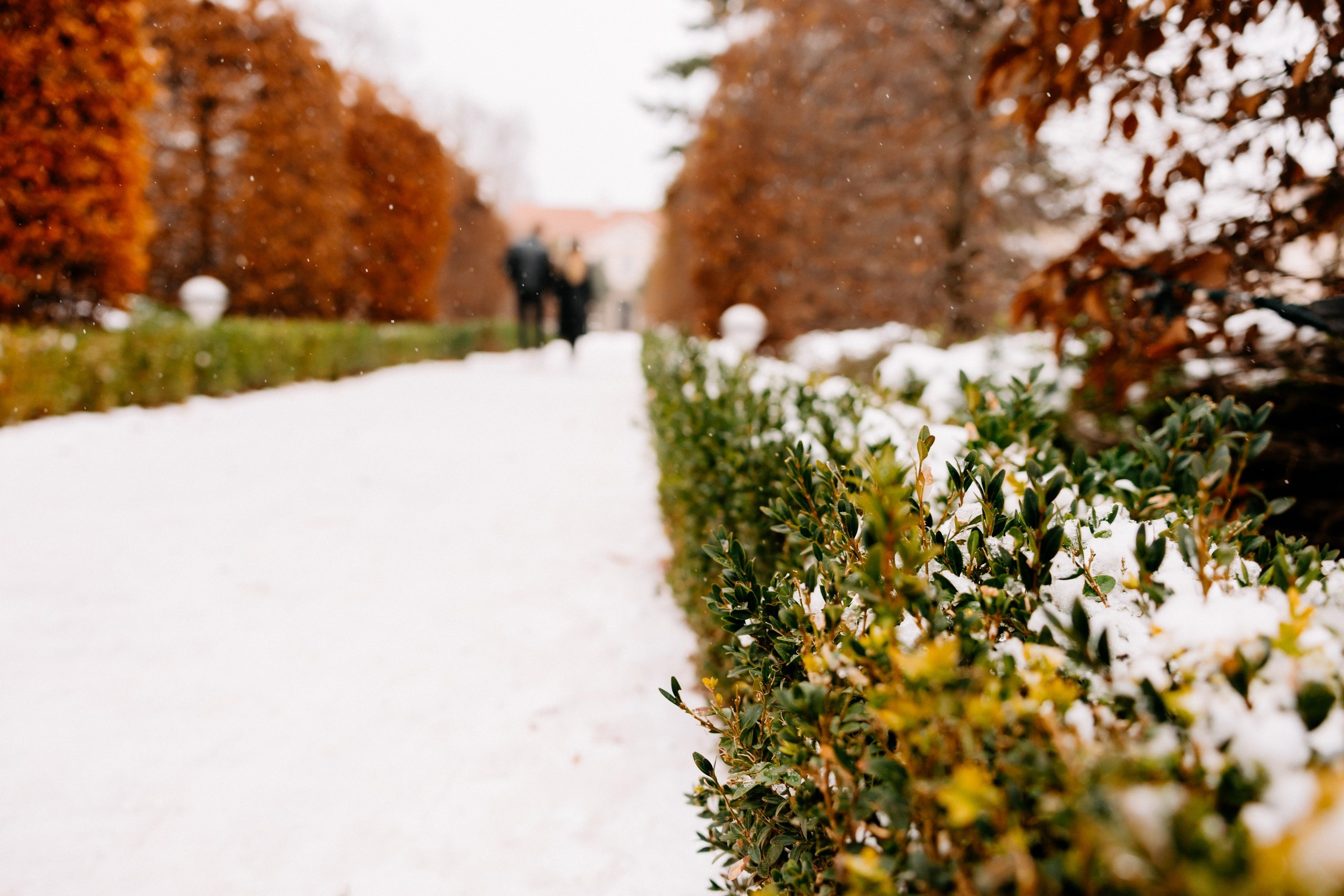 Marcin ♡ Klaudia. Fotograf Ślubny Warszawa - Sesje Biznesowe Rodzinne Eventy
