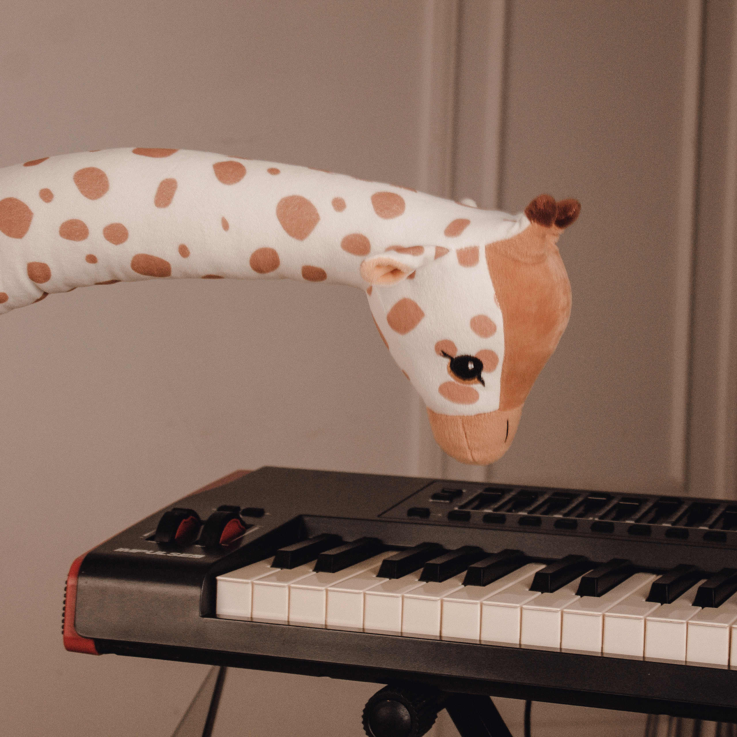 Роман (музыкант). Свадебный и портретный фотограф в Белграде Екатерина Македонская