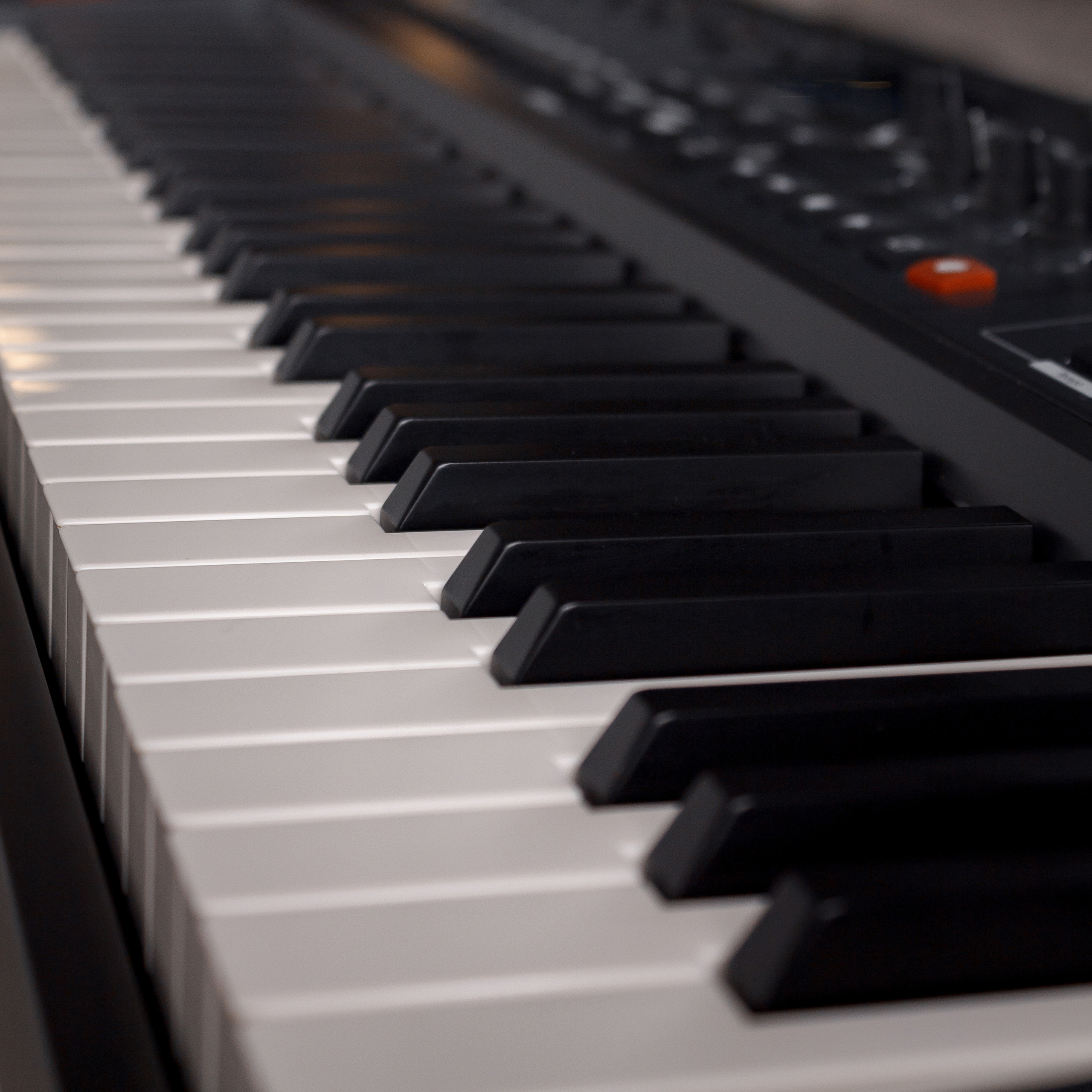 Роман (музыкант). Свадебный и портретный фотограф в Белграде Екатерина Македонская