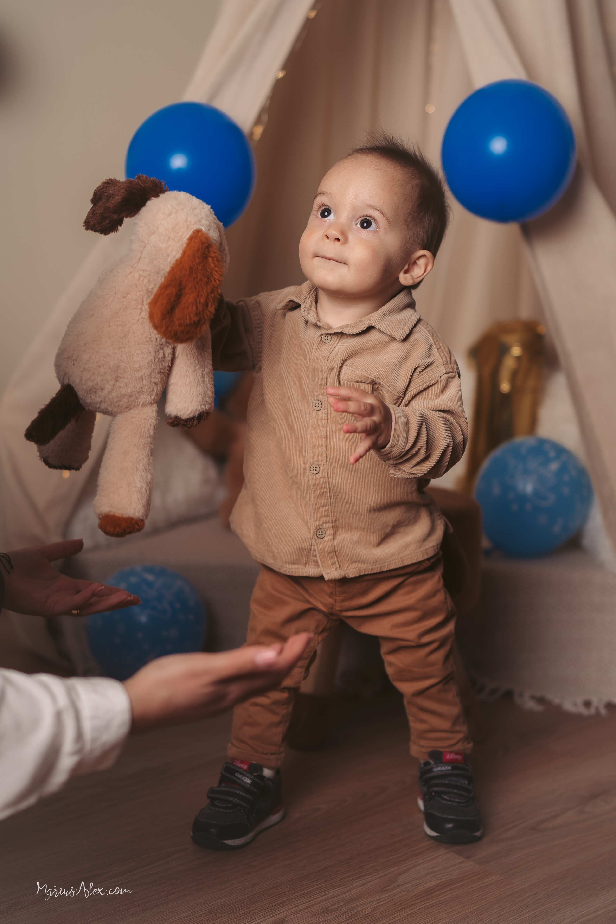 David - 1 anisor. Marius Alex fotograf de eveniment si portret din Suceava