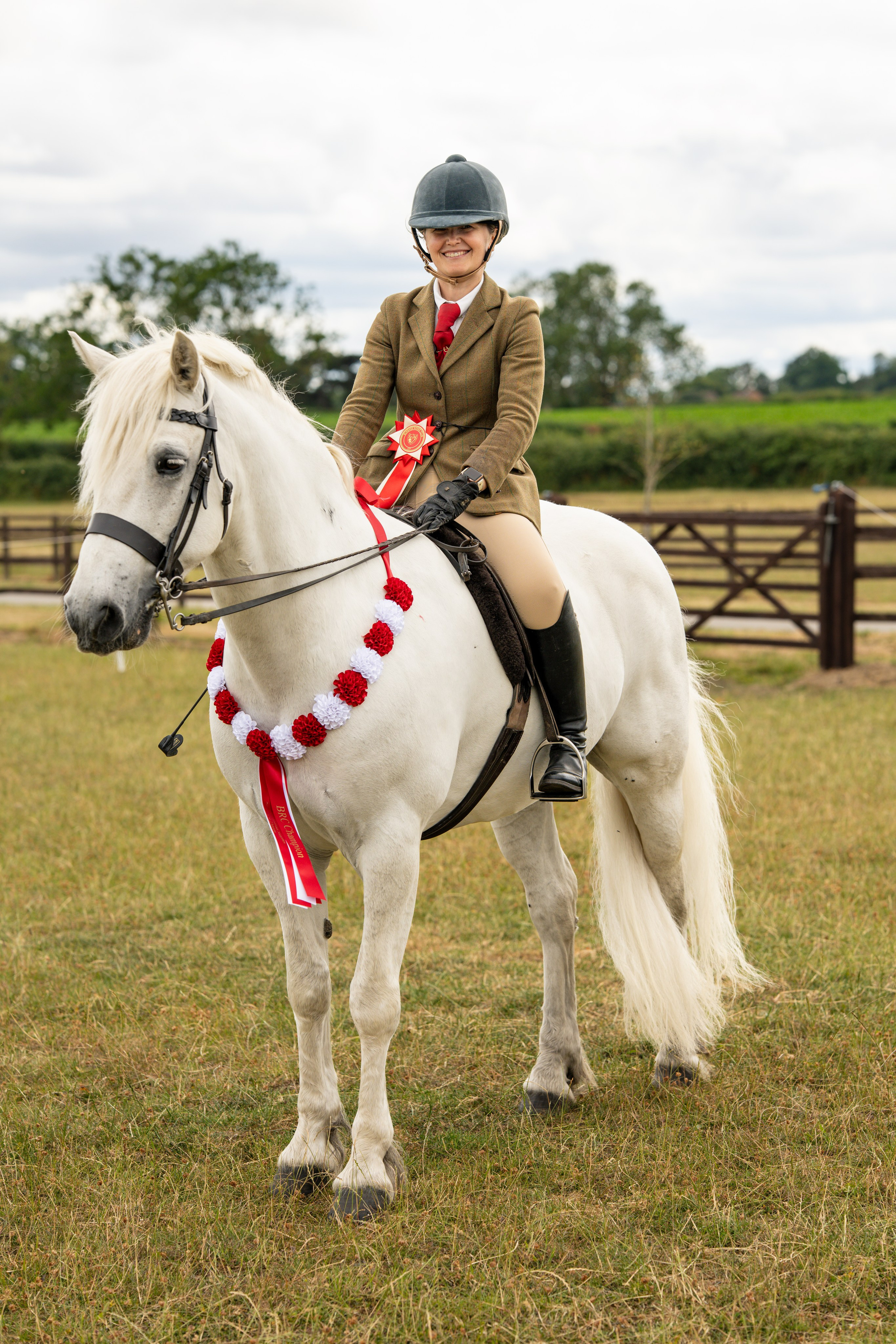 Show Jumping Photography in Leicestershire | Equine Action Shots by El. Leicestershire Equine Photography by El | Authentic Equine Portraits & Events