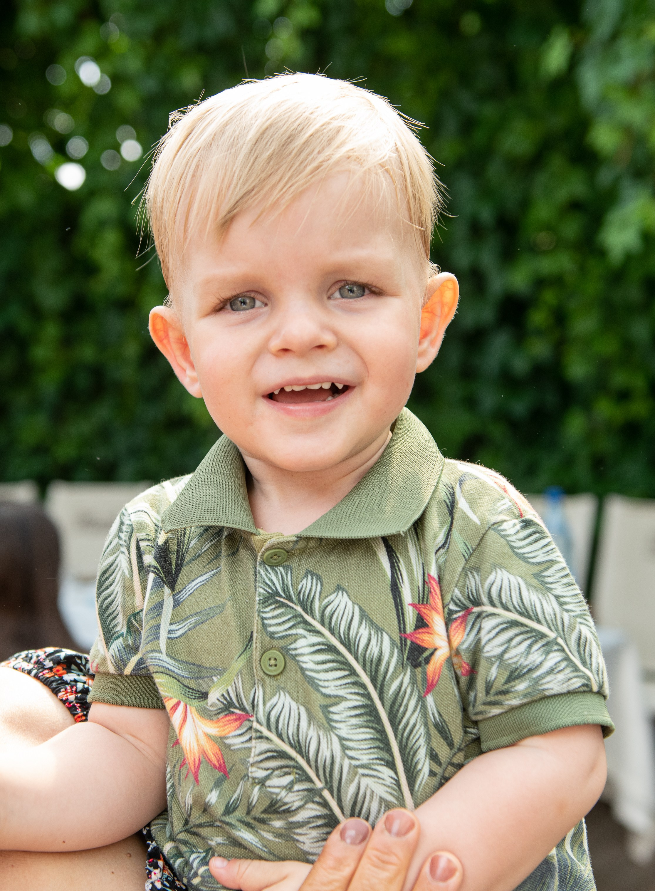 DAVID. Fotograf de familie Vitalie Budoianu