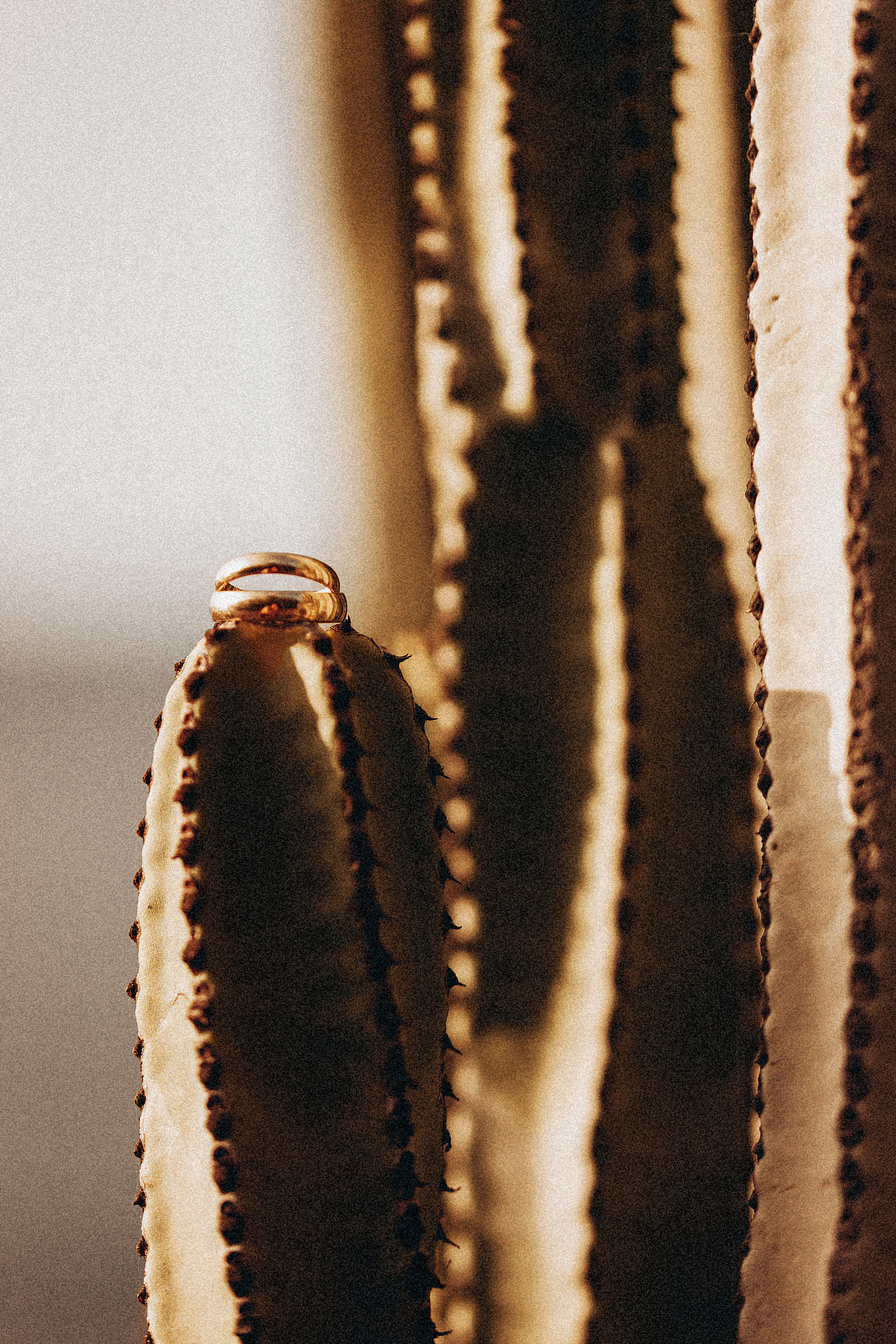 Ksenia & Cezary. Фотограф Тенерифе Эдгар Зубарев