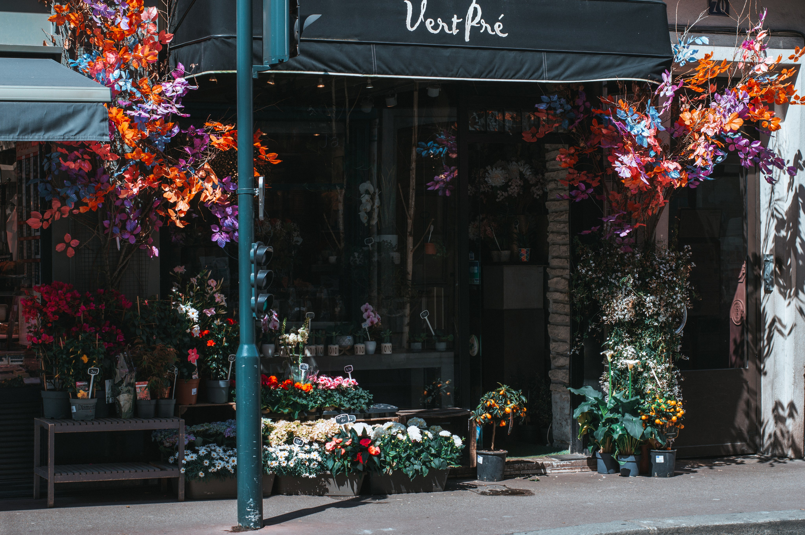 Франция. Анастасия Благова — Твой фотограф в Малаге 🇪🇸