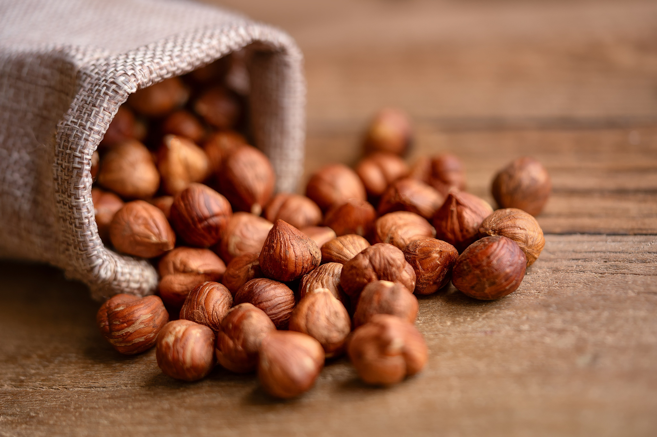 SERVICIOS. Fotógrafo Madrid. España. Elena Lukicheva