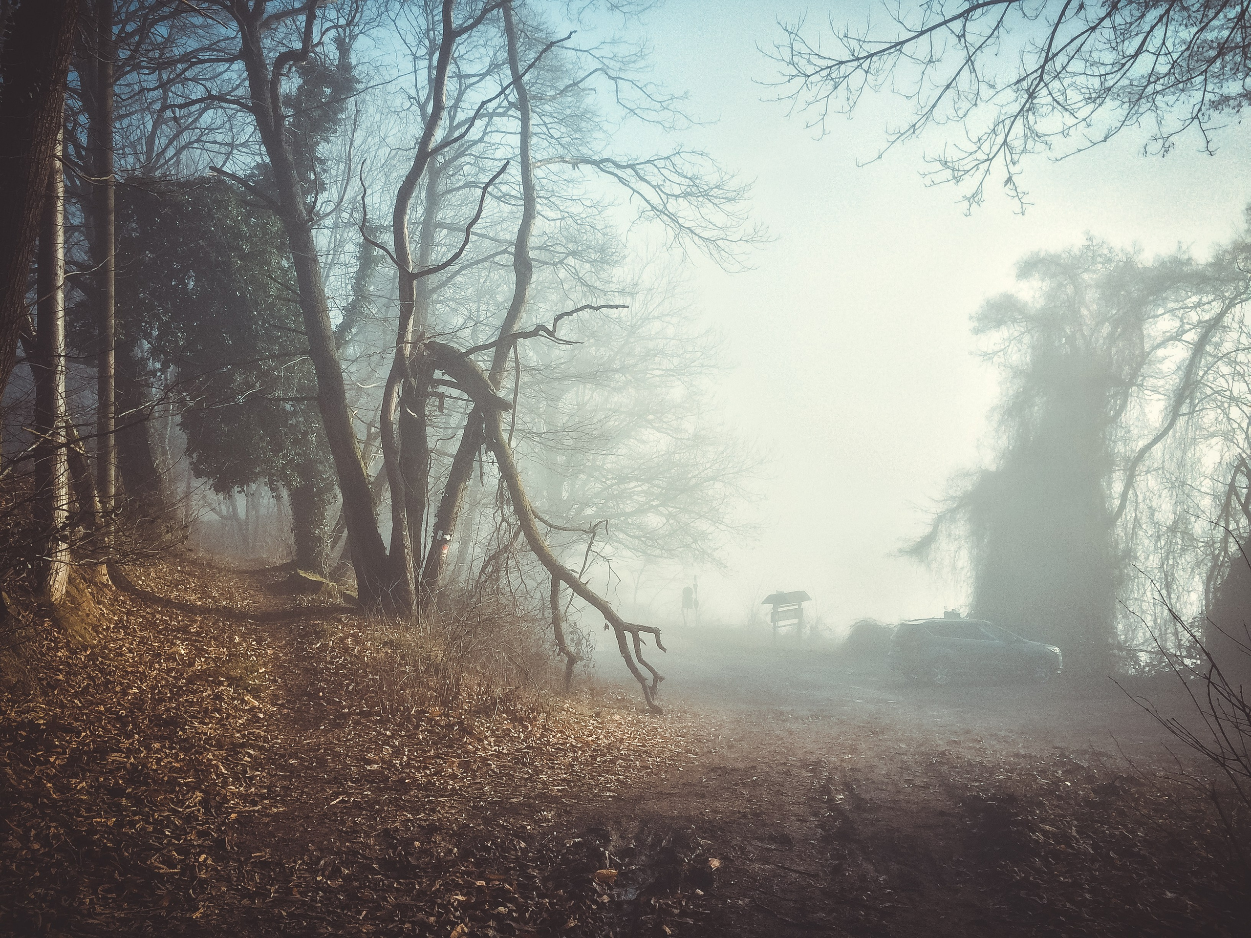 Трифельс: конструирование истории. Фотограф в Германии — Мария Чистякова