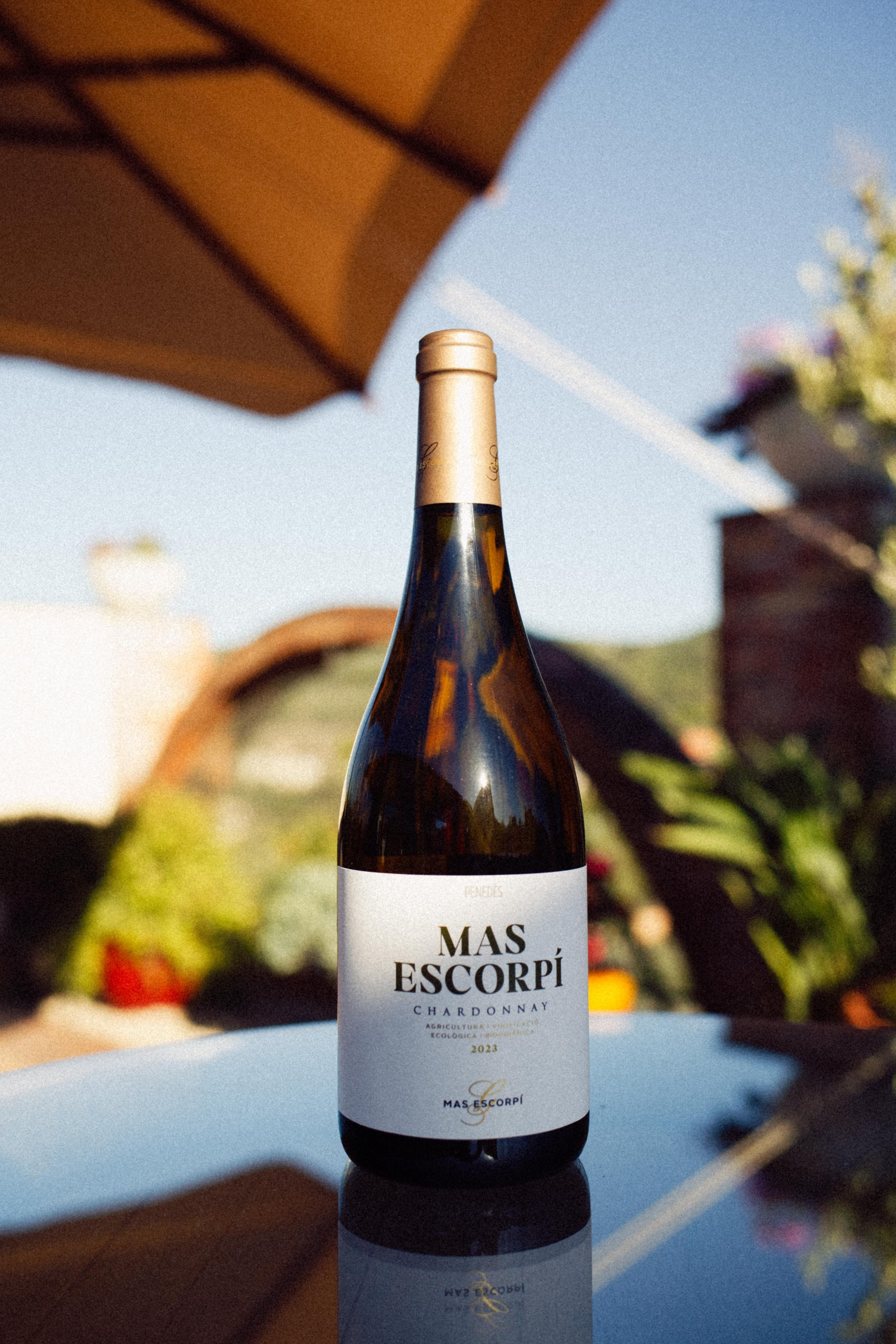 Styled shot of Gramona wine bottle with scenic backdrop