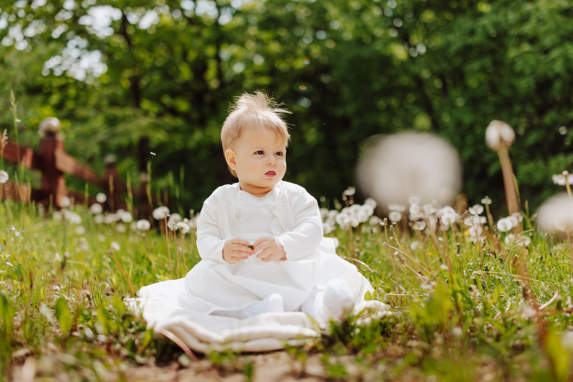 Ilinca. Fotograf și videograf de nuntă R. Moldova, Romania