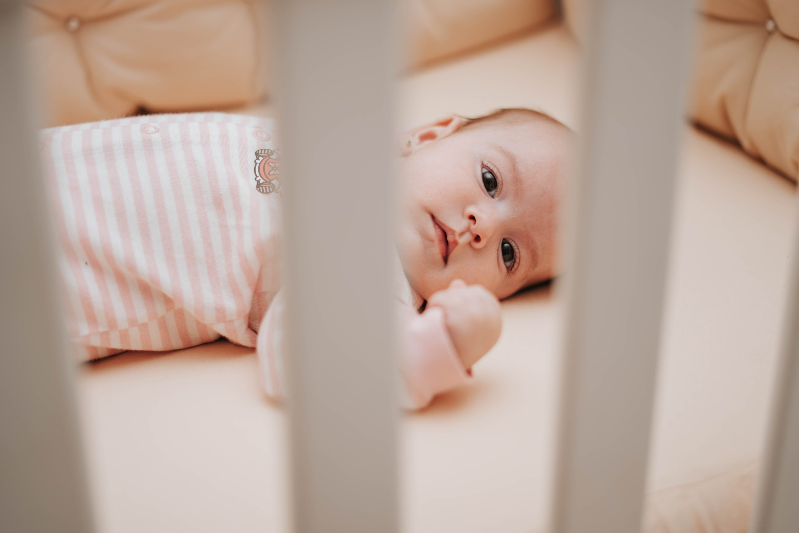 Tania Stefania. Fotograf de evenimente din Romania