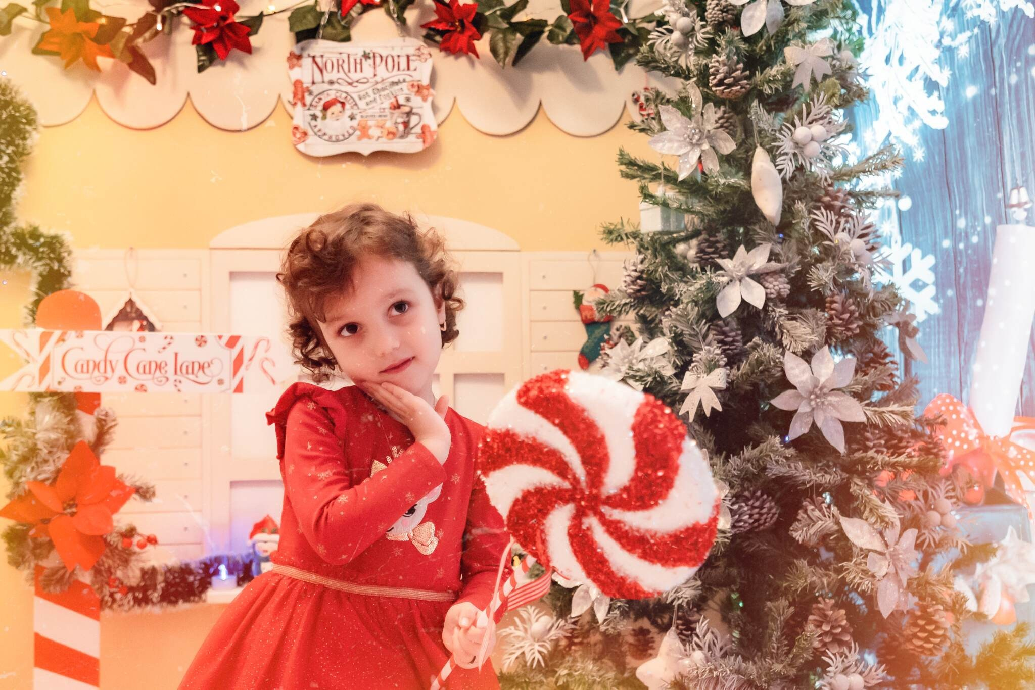 Sedinta Craciun Tanya