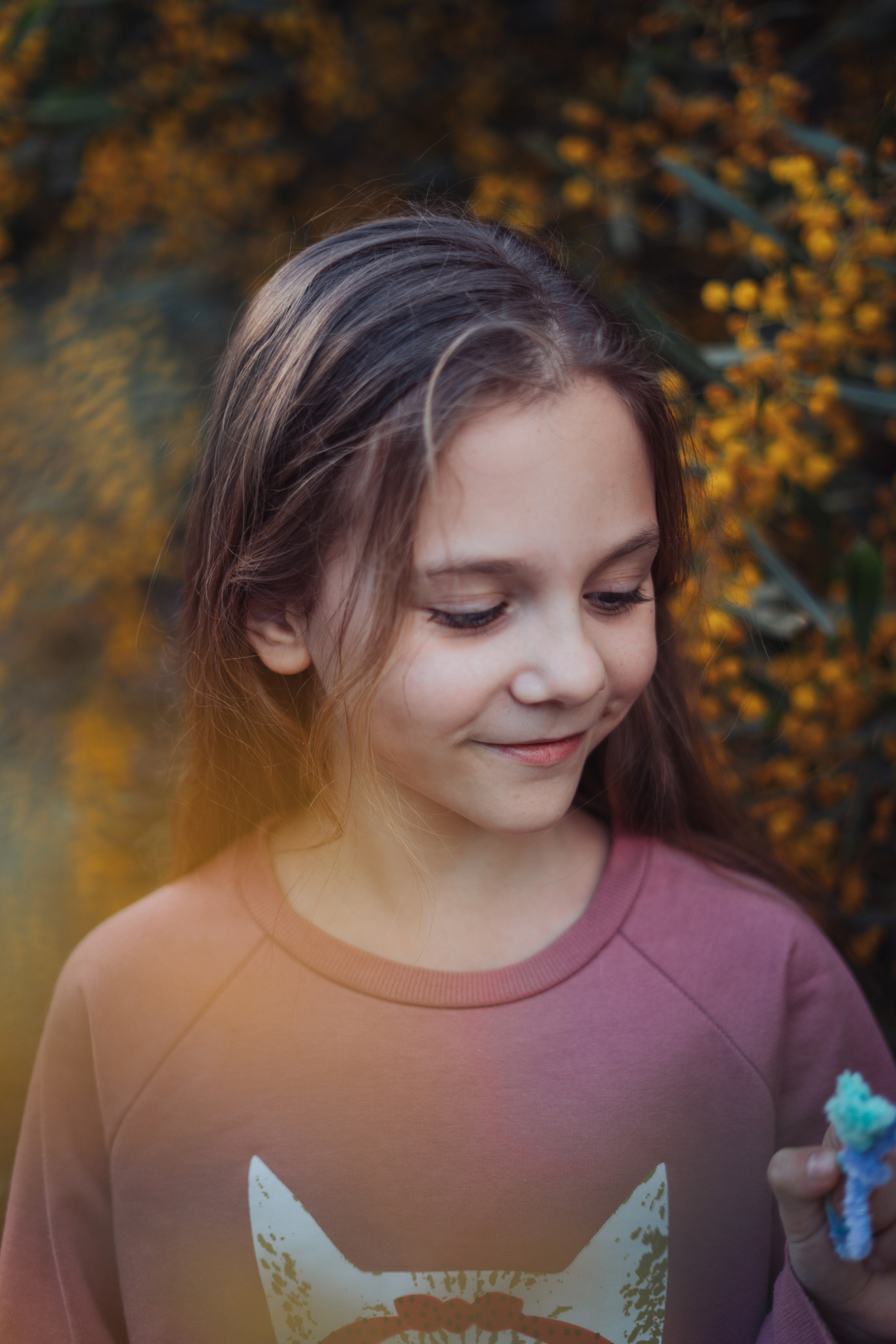 Мимоза. Анастасия Благова — Твой фотограф в Малаге 🇪🇸