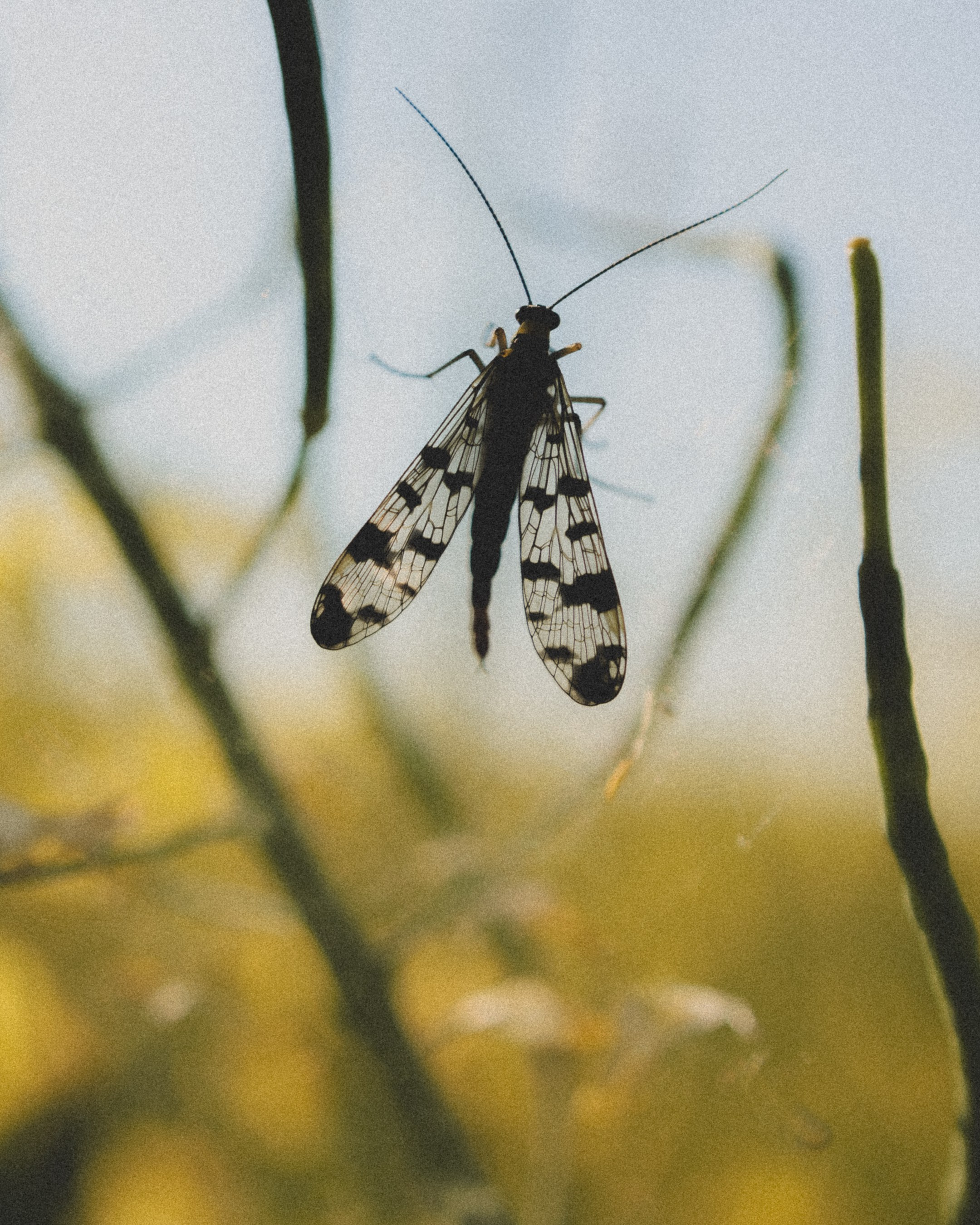 Portrait Bildgalerie. Deine Fotografin aus Baden-Württemberg und der Südpfalz