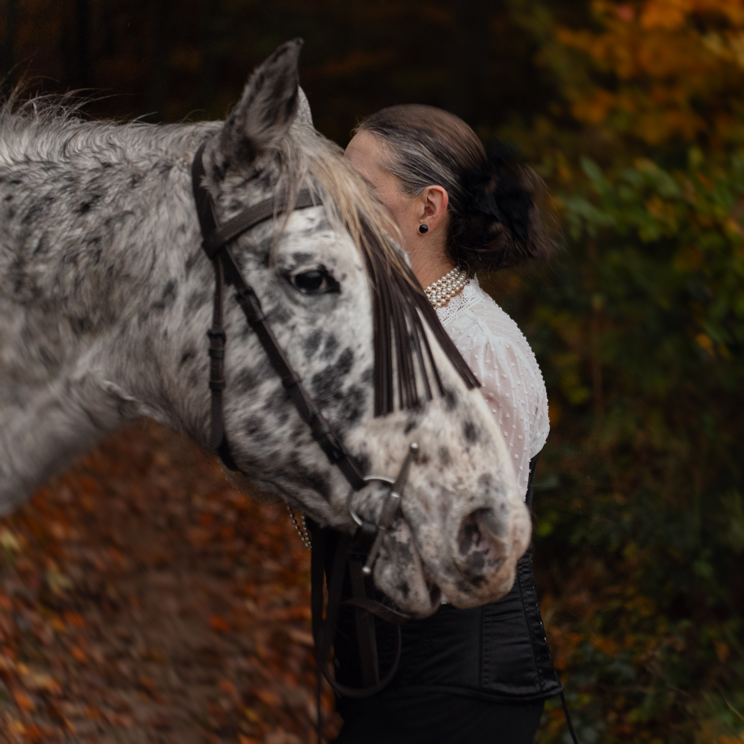 Geschichten mit dem Pferden. Kinder und Familienfotografie Wittlich und Trier Umgebung