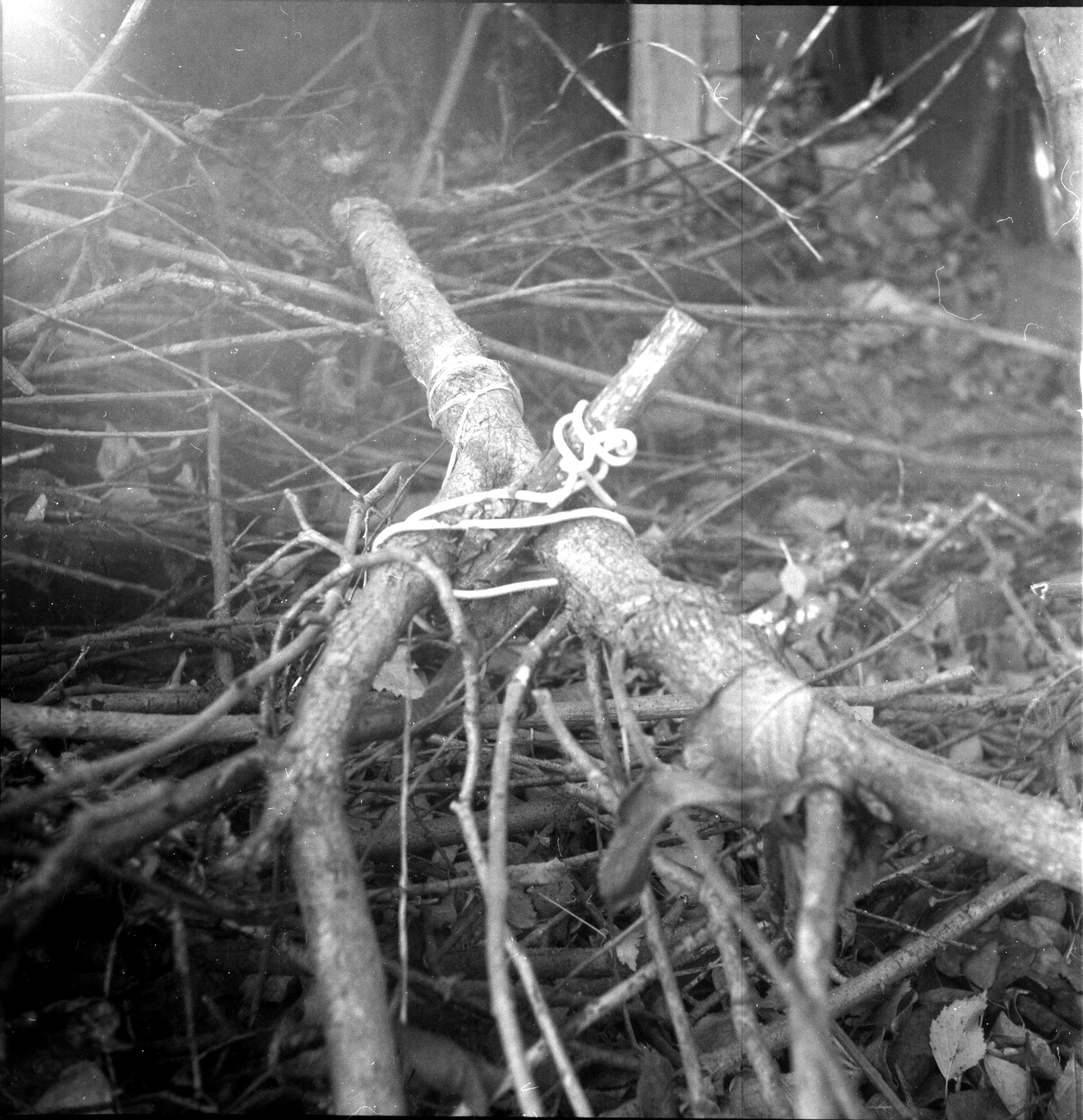 When it is day for angels in heaven, it is night for people on earth. Natalia Parfenova visual artist film photographer