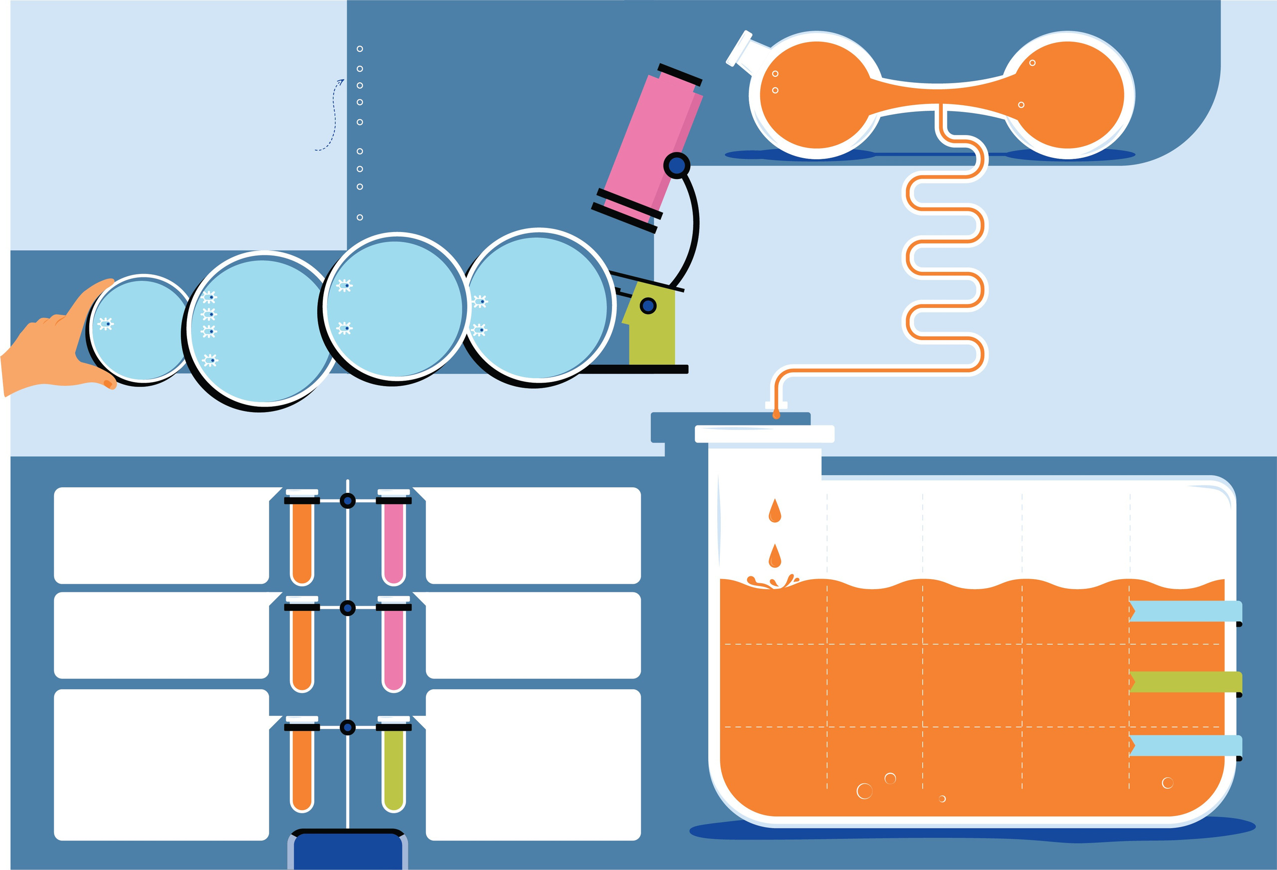 Vector Illustrations. Helen Reveur | Illustrator & Brand Designer | Ready-Made & Custom Illustrations