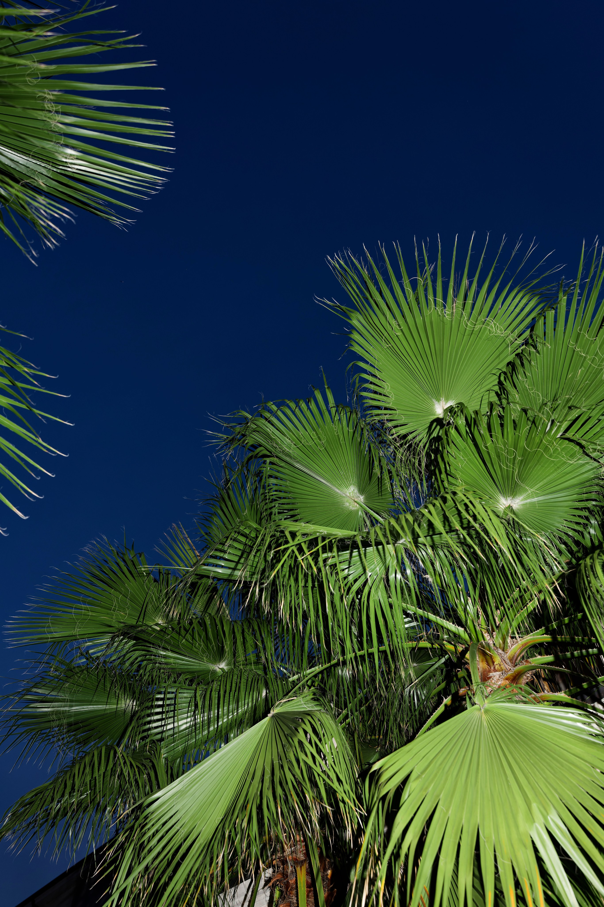 Wedding at Villa Carminati Resta on Lake Como Preview