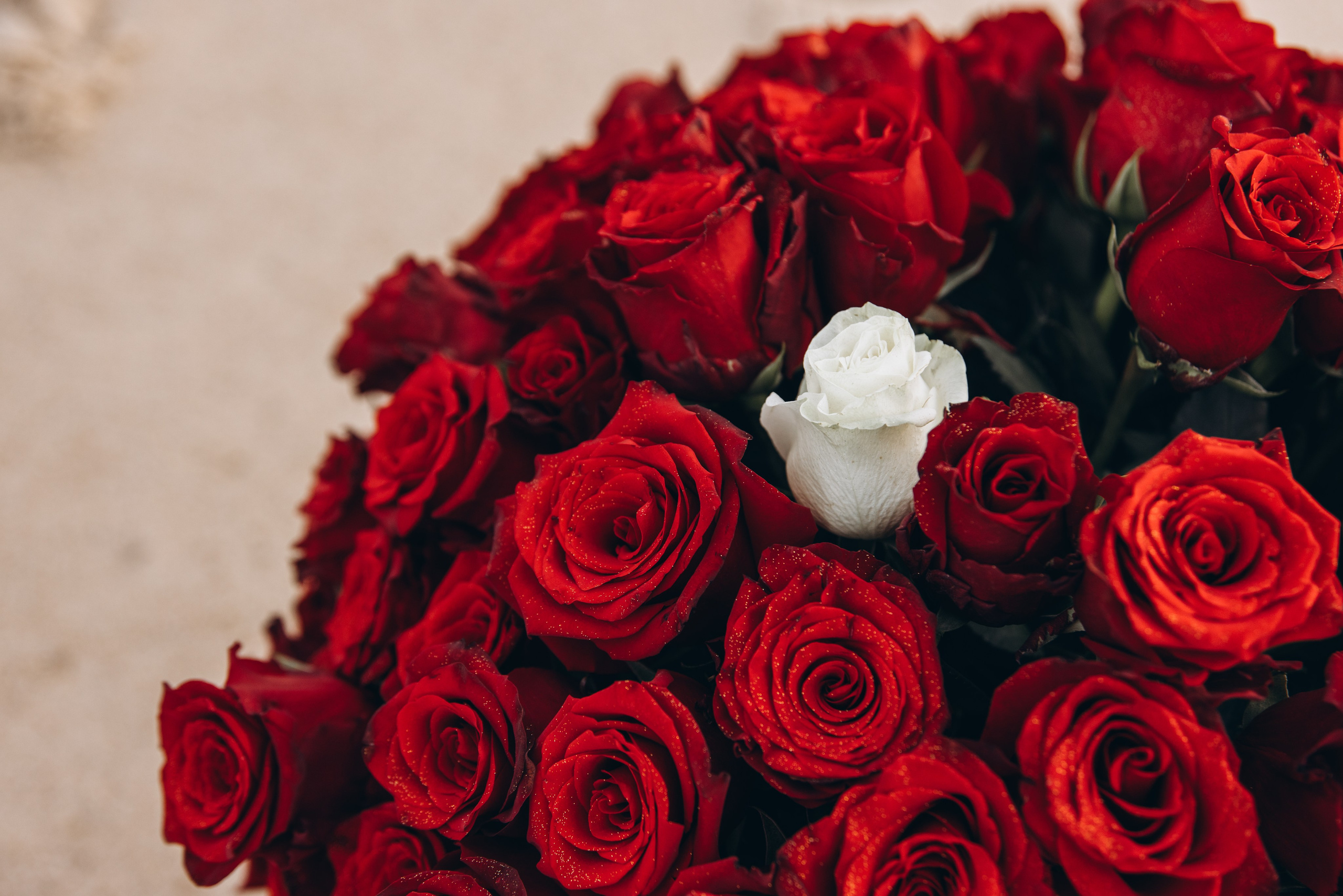 Pedido de Casamento. Luxury Wedding Photography & Cinematic Films | Portugal & Destination Weddings | Ricardo & Mary Pictures