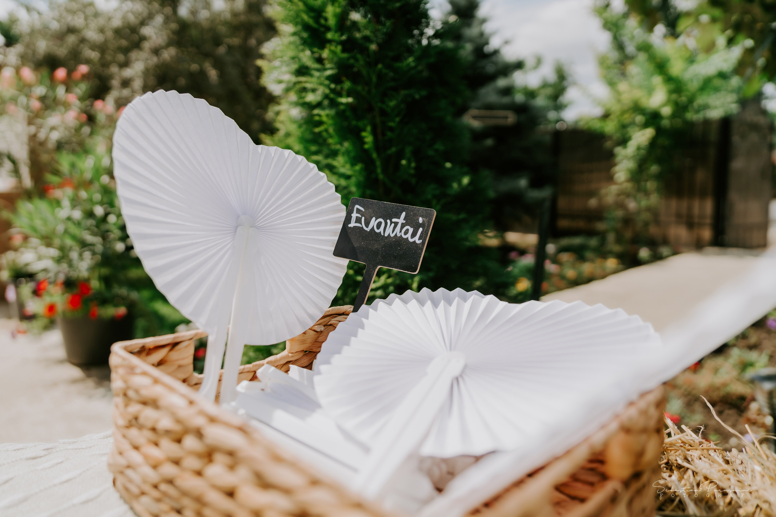 Andreea & Mădălin. Sebastian Purusniuc Fotograf - Iasi