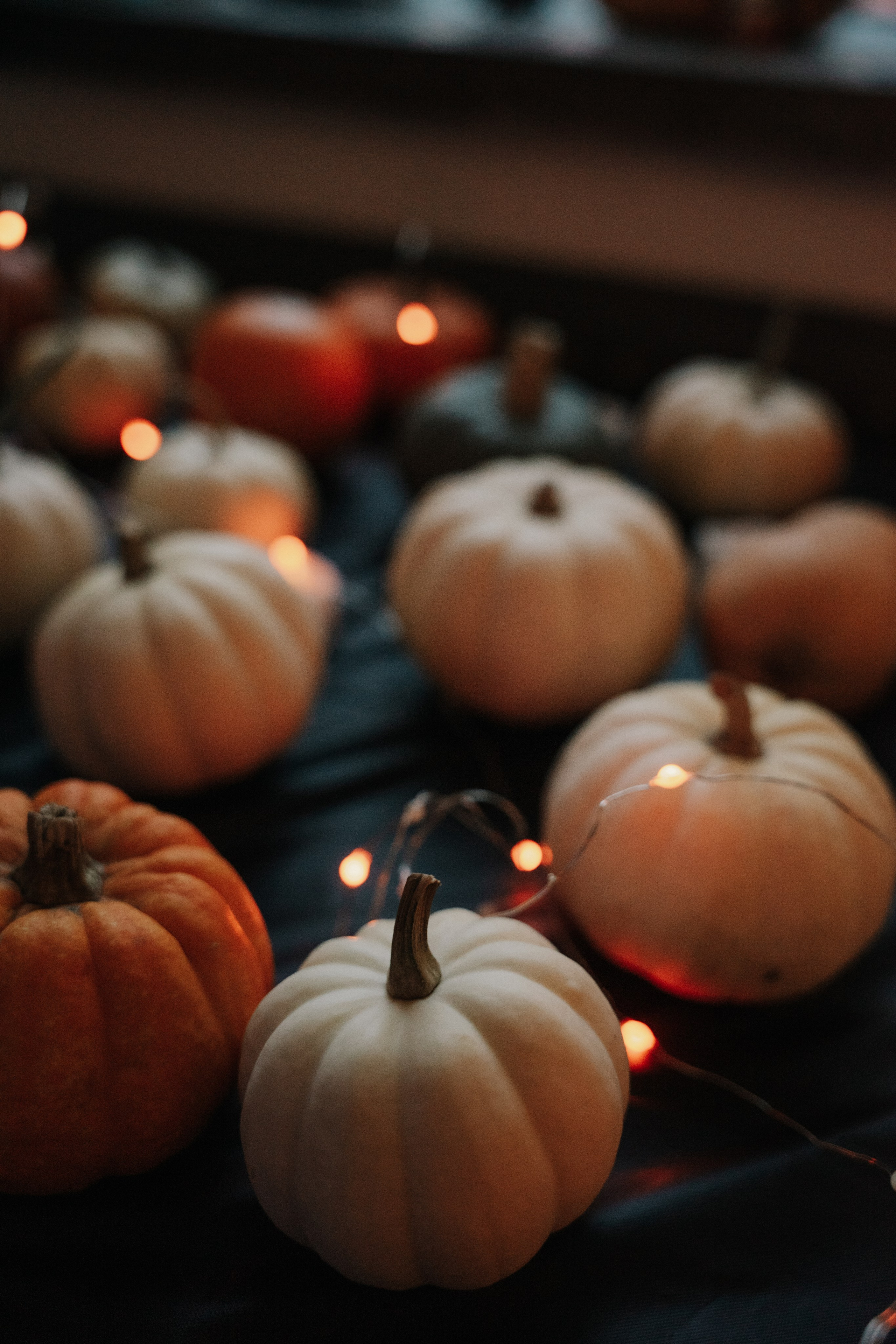 Хэллоуин XX-comunity. Lera Berg — портретный фотограф и ретушер в Мюнхене