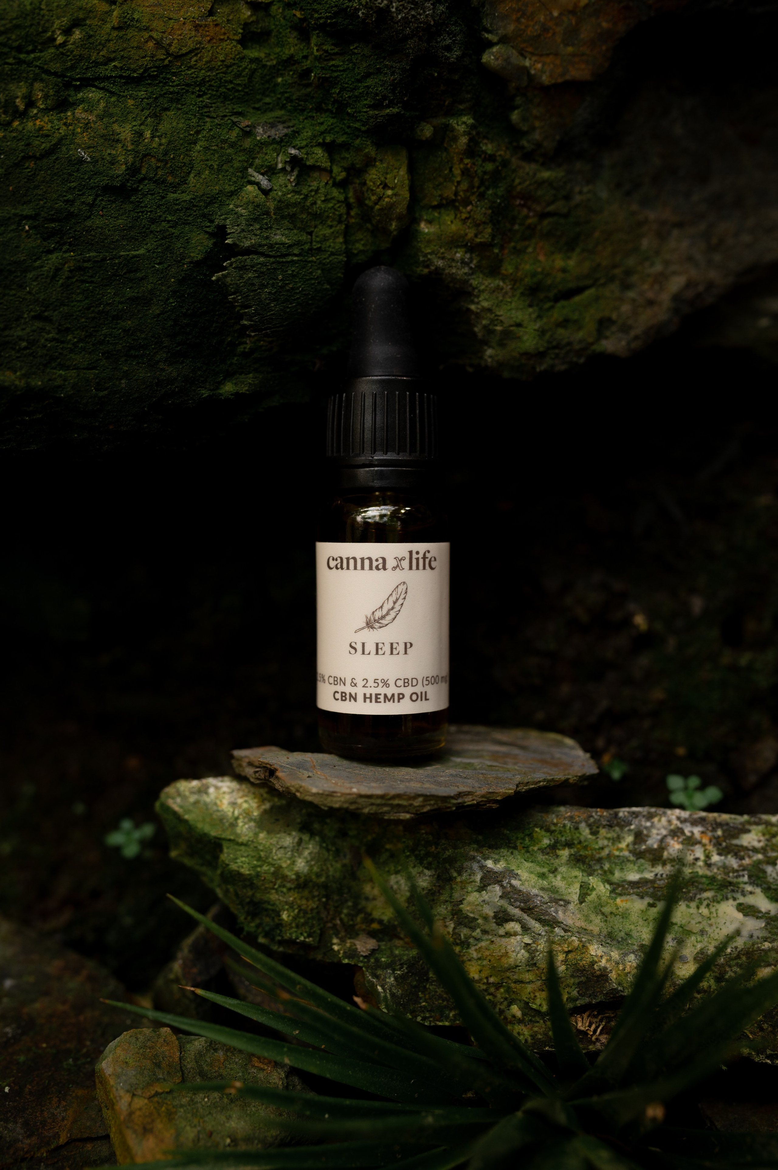 CannaXlife CBD products. ANNA-MARIA PHOTO CONTENT CREATOR — фотограф, естет, художник і візуальний експерт Instagram у Празі