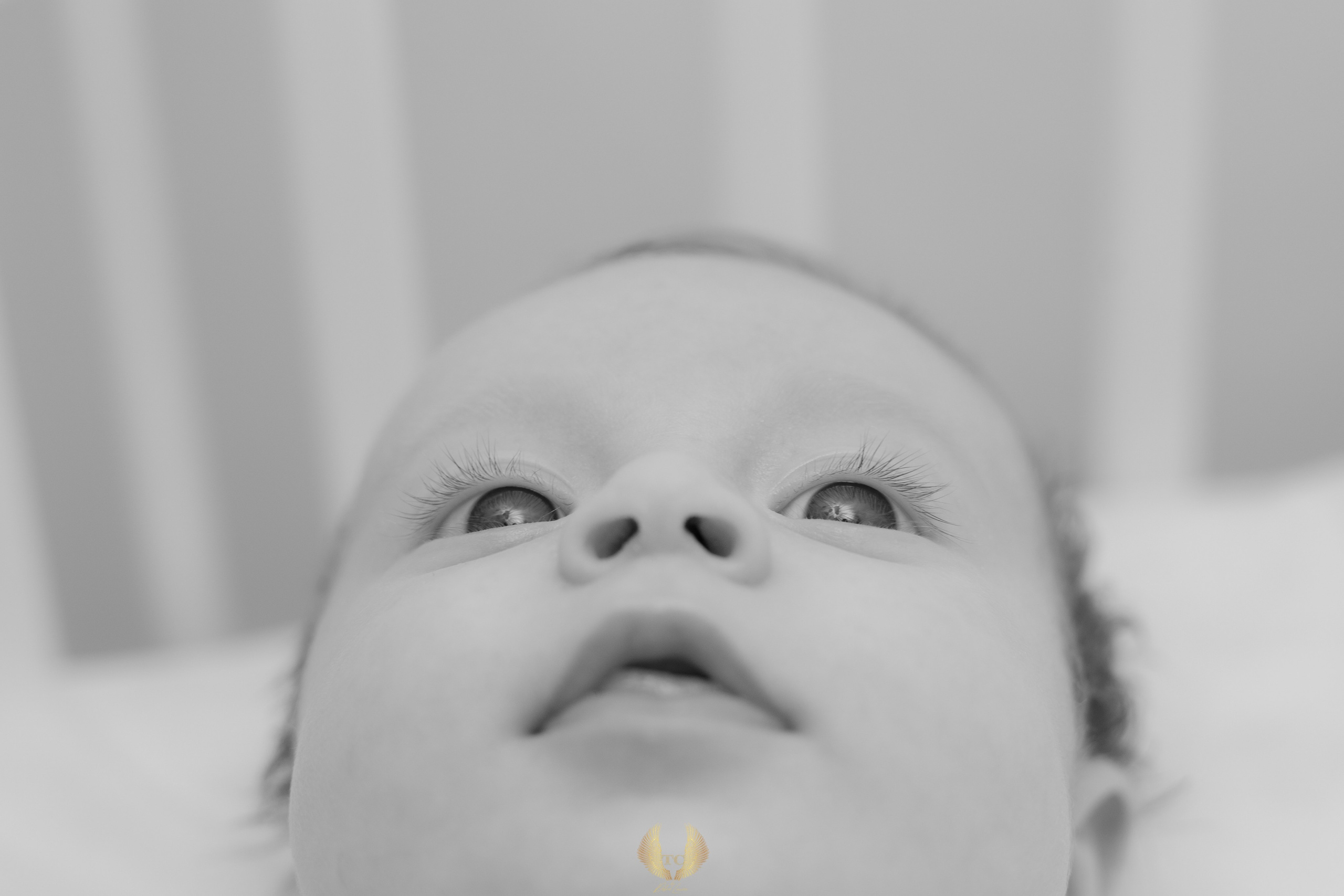 Eva Ioana. Fotograf si videograf — evenimente si studio