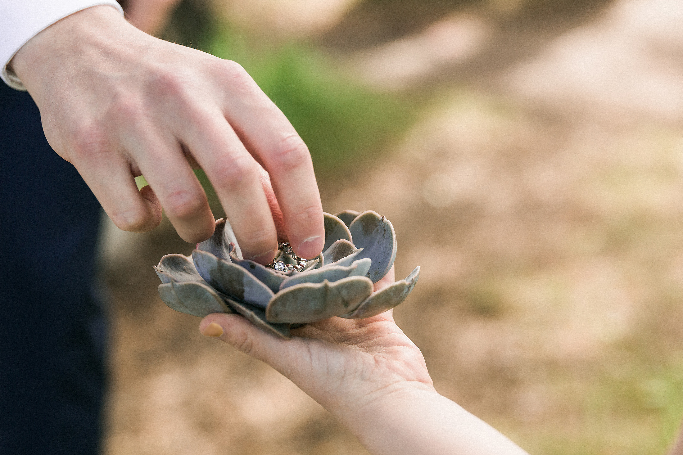 Stailattu kuvaus, Soutupaviljonki, Trooppiset häät