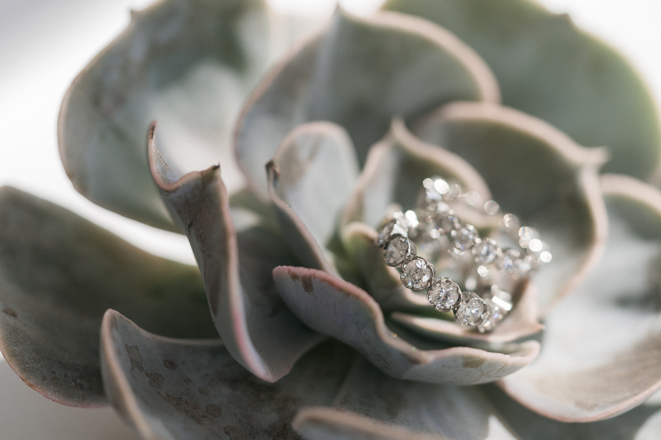 Stailattu kuvaus, Soutupaviljonki, Trooppiset häät