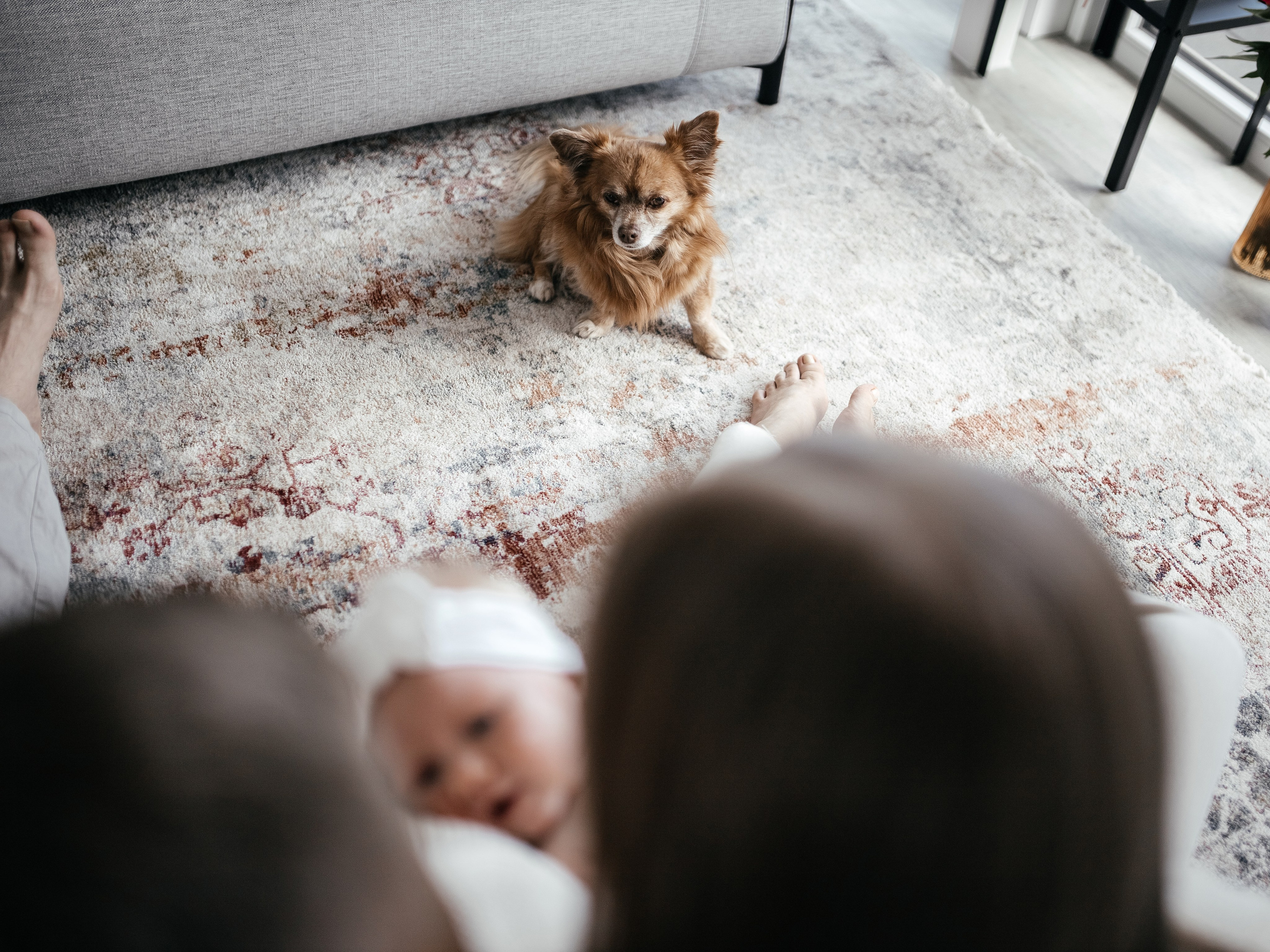 Newbornfotografin. Familien-, Hochzeits- und Newbornfotografin Neustadt an der Weinstraße