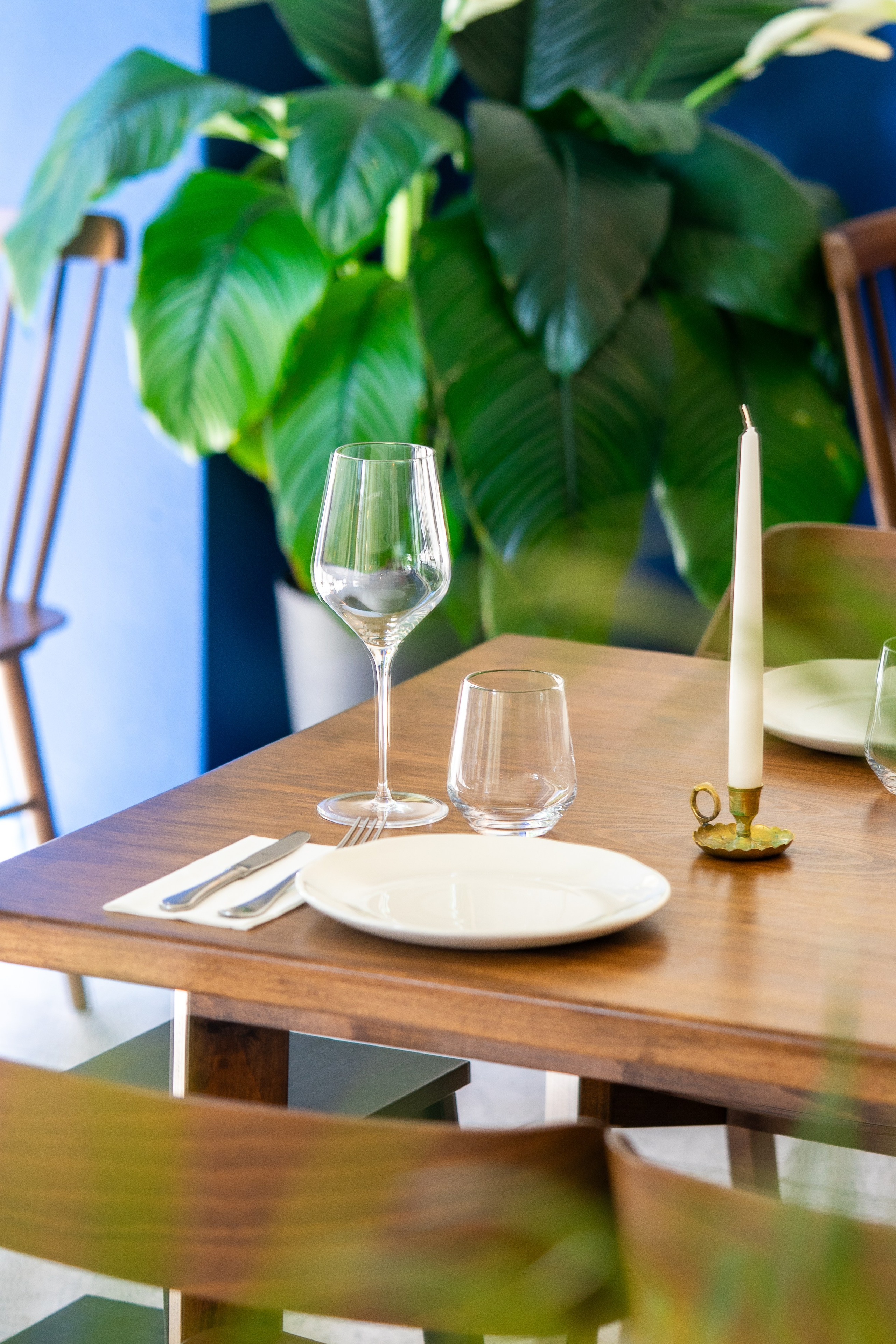 Borboleta. Maria Sher. Fotógrafa profissional do Porto, Portugal