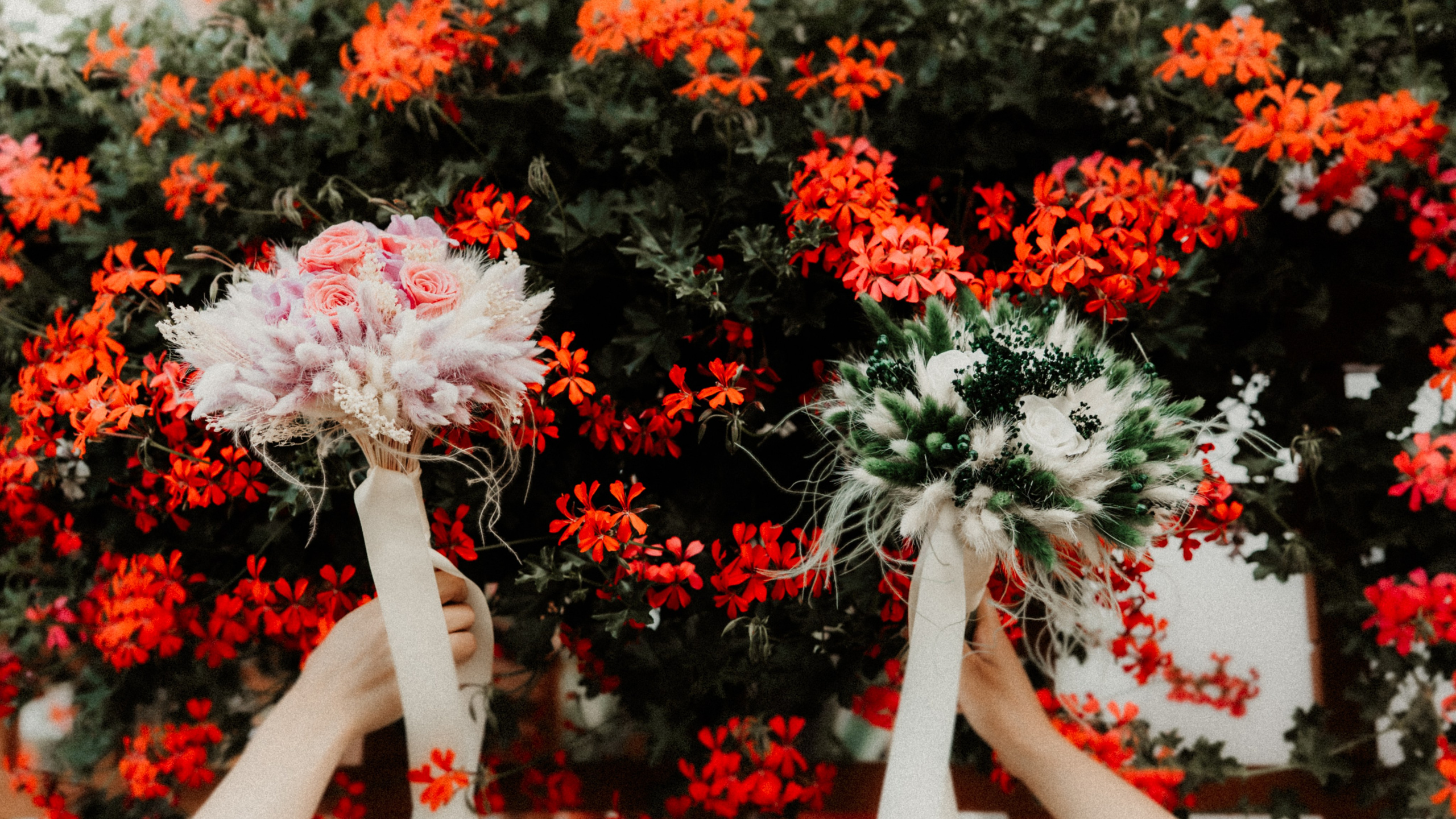 Alina - Cosmin | Targu Neamt