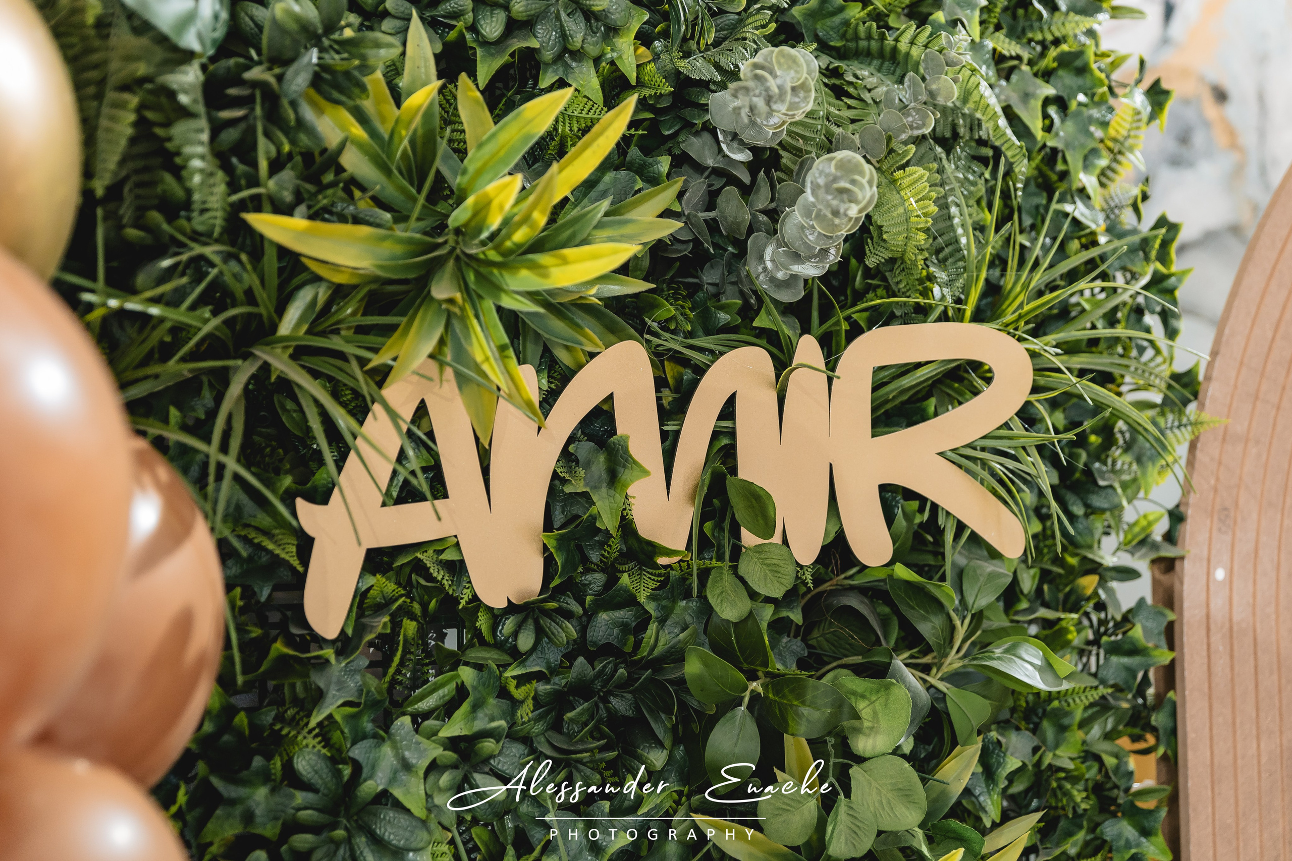 Amir. Fotograf prin #Piatraneamt-Alessander Enache