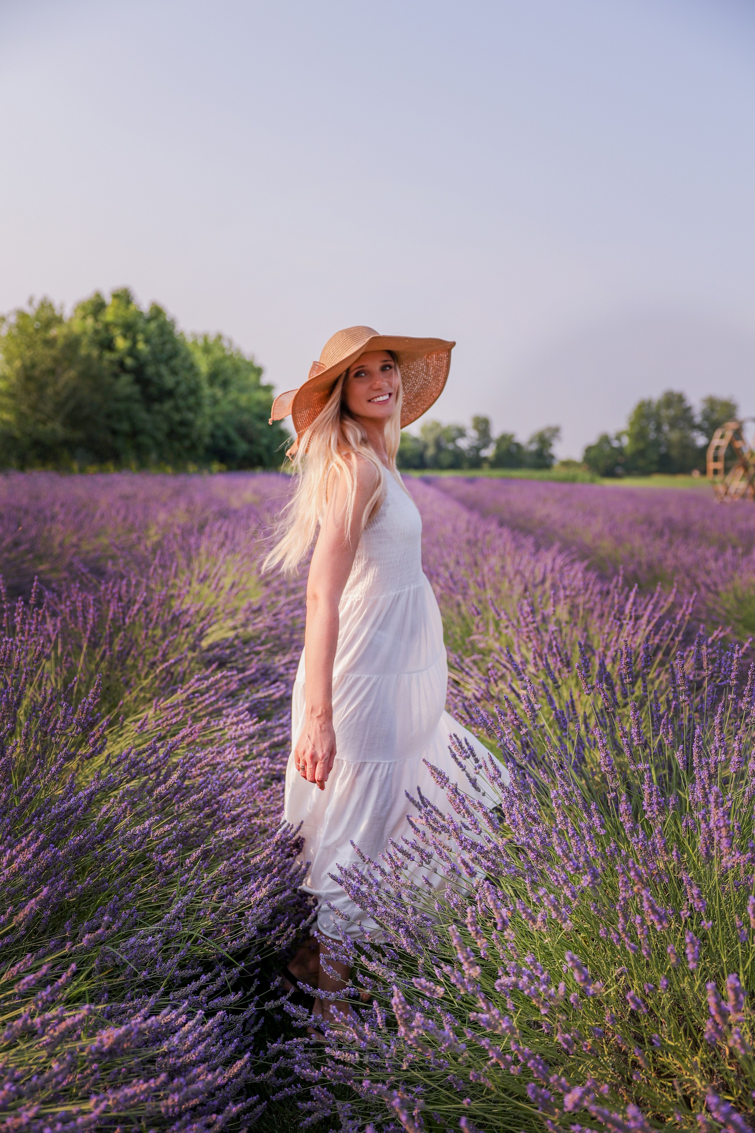 Lavanda. Photographer, Videomaker, Drone, Padova, Venice, Italy, Elena Radchenko