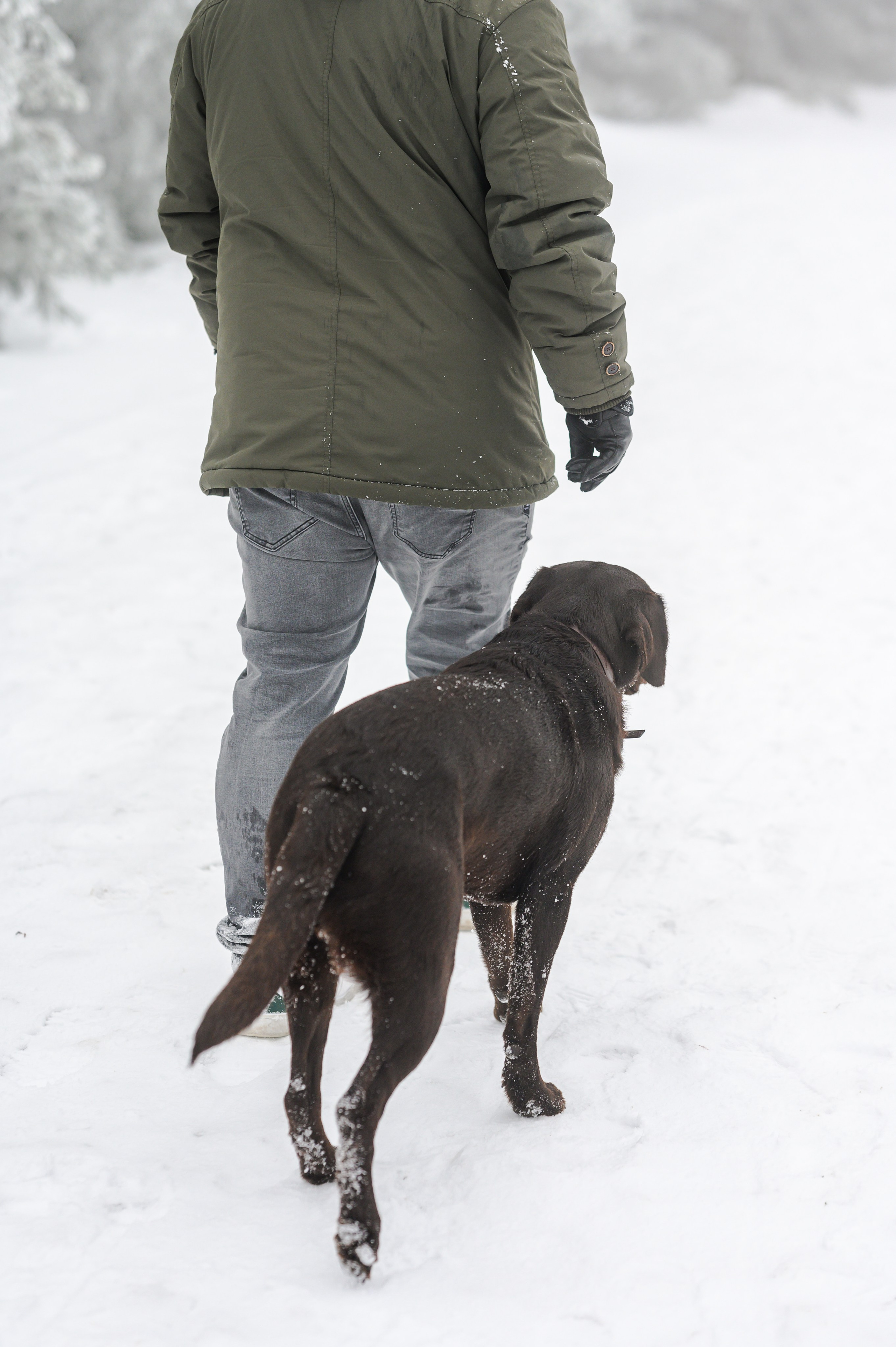 Unvergessliches Winter-Hundeshooting im Erzgebirge. RawPeek