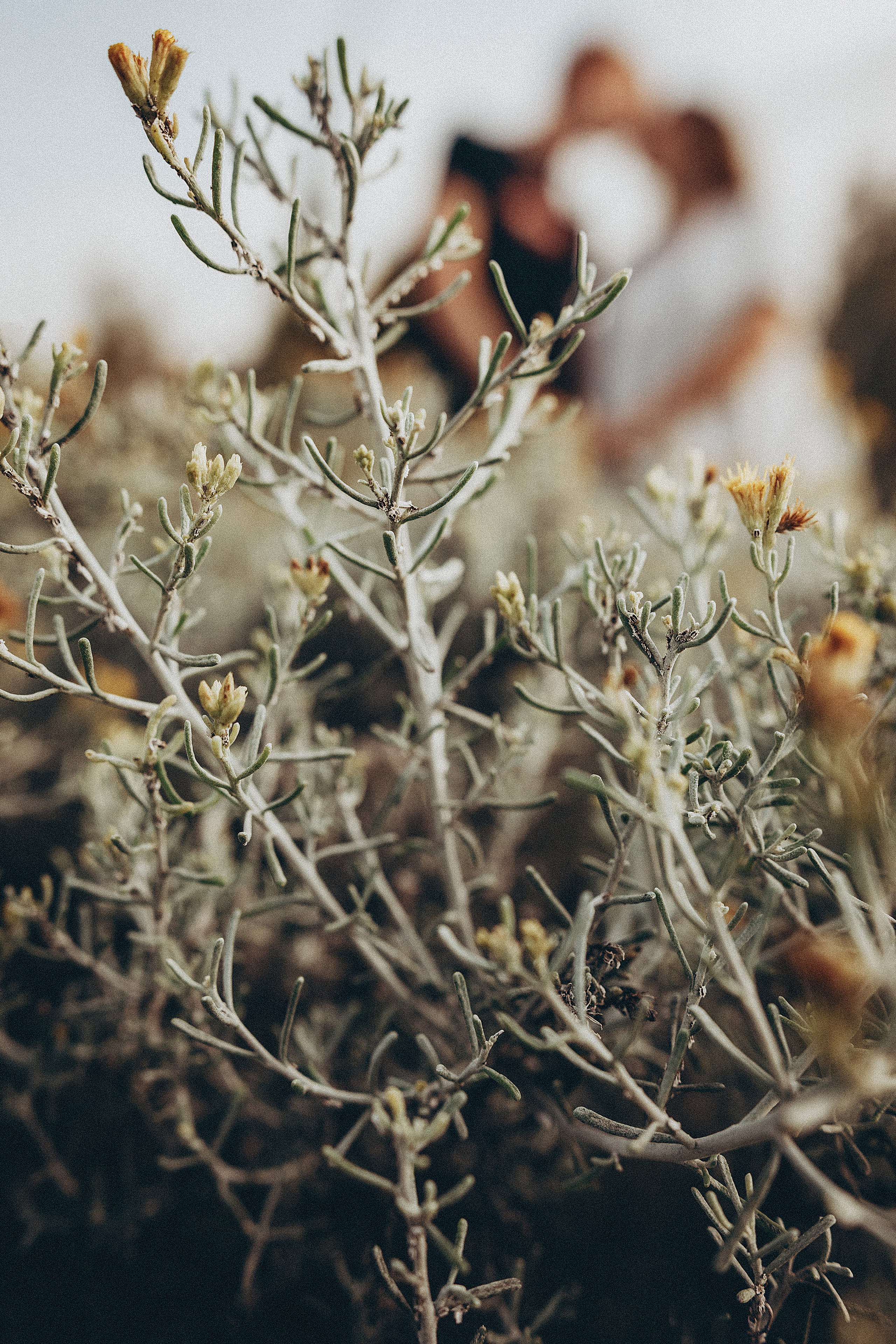 Daria & Artur. Photographer Tenerife Edgar Zubarev