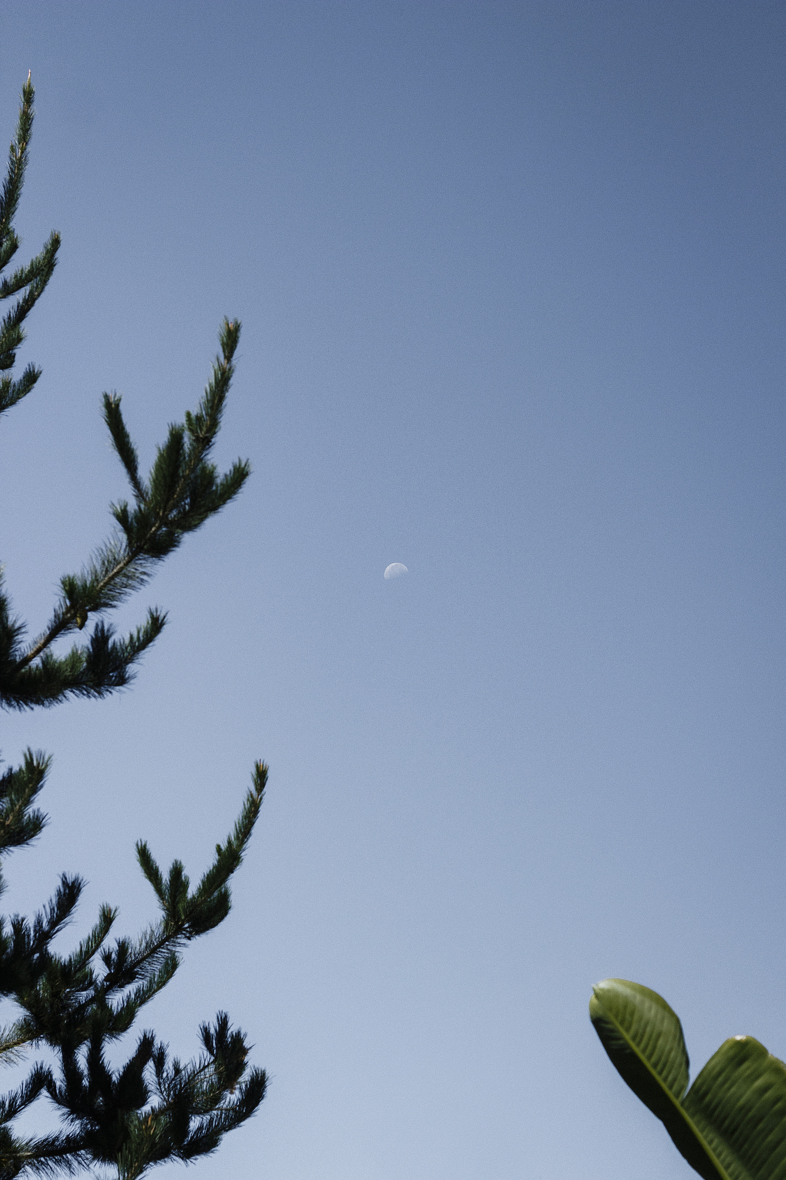 Rut & Ruben. Фотограф Тенерифе Эдгар Зубарев