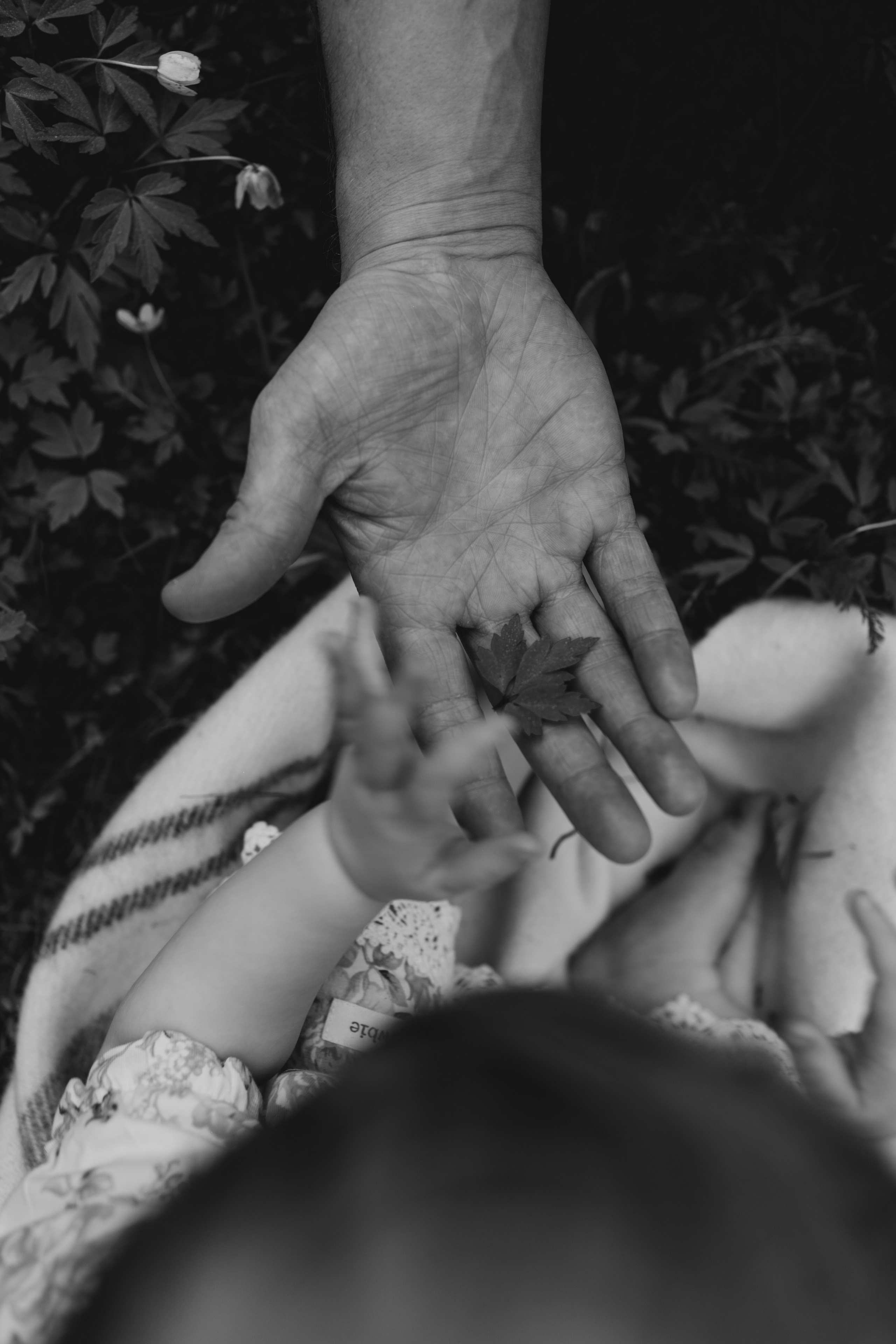 FAMILY BRULAND. Photographer and videographer in Norway and Slovakia Andrea Zemko