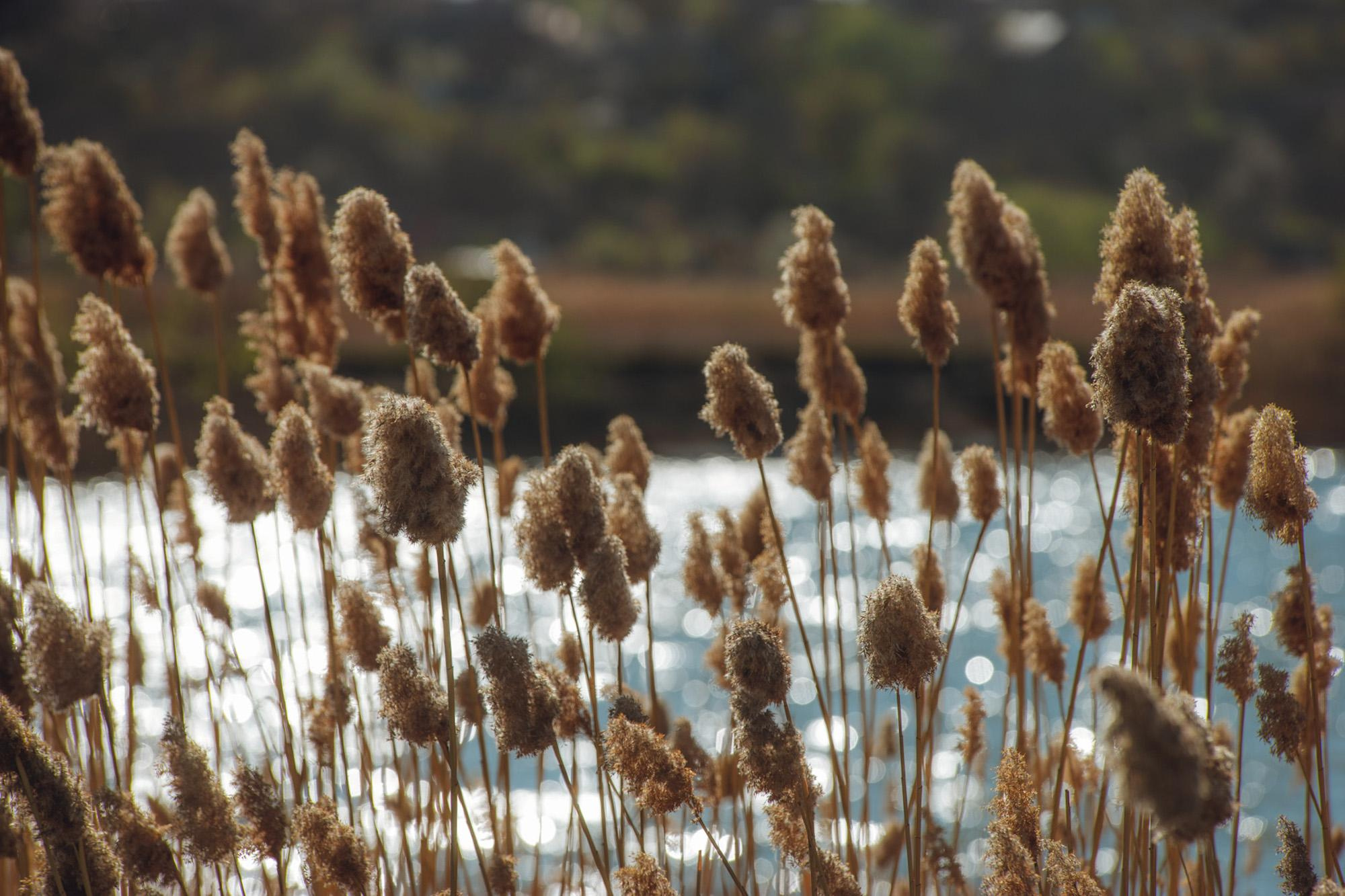 Пейзажная фотография Молдова. Recstudiofilm — Фото видео услуги на свадьбу в Молдове